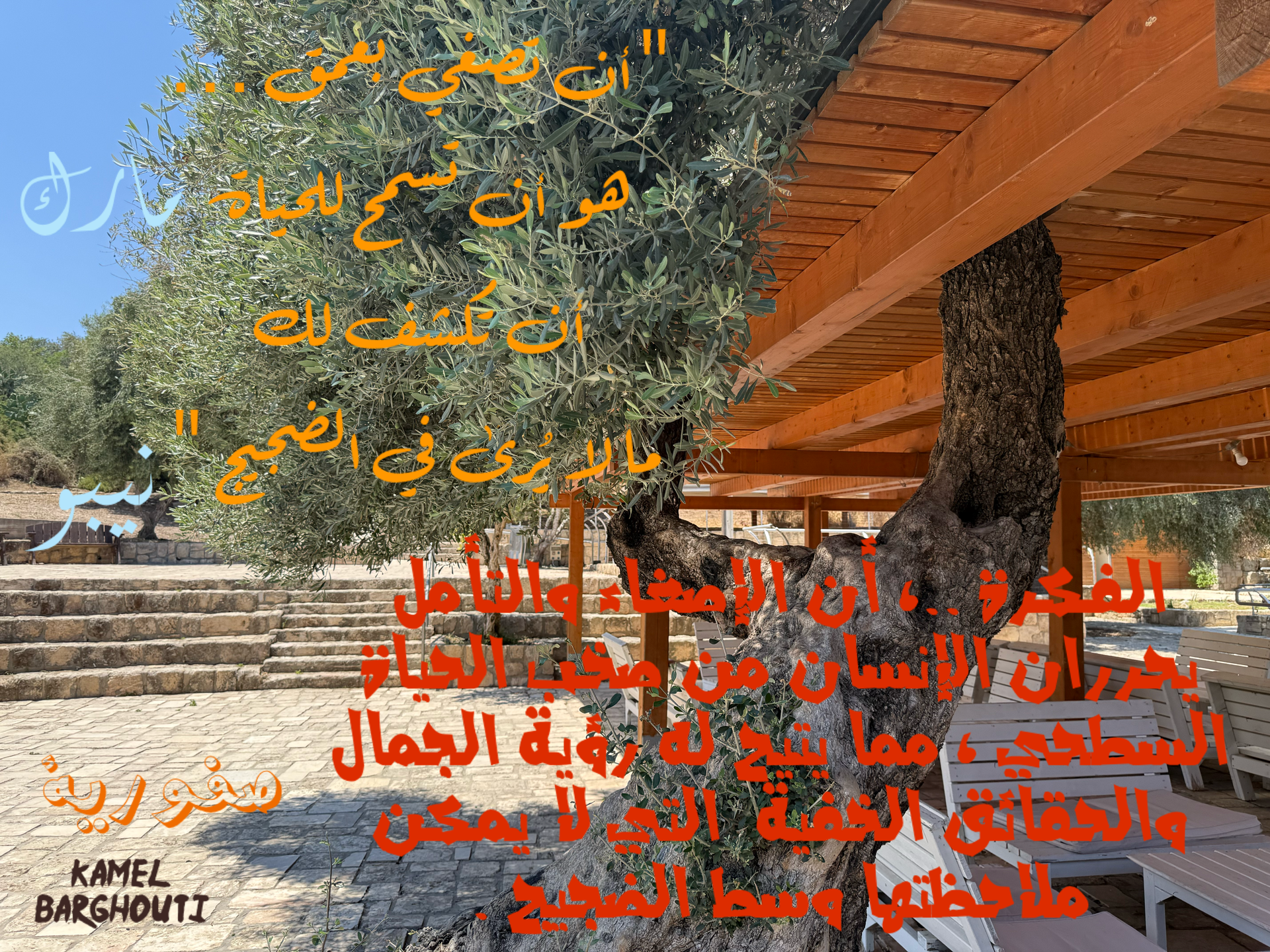 العزلة، الصمت، والتأمل – اقتباس 23