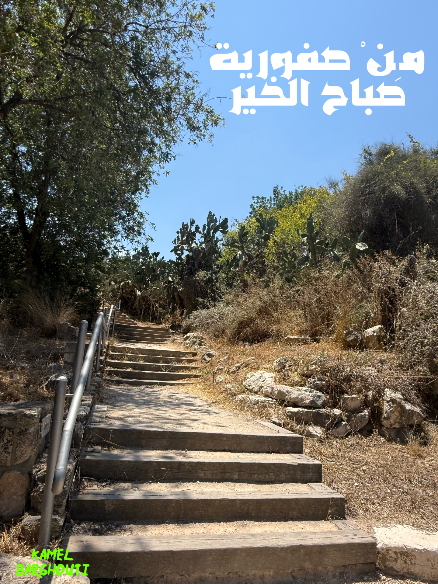 صباح الخير – اقتباس 14