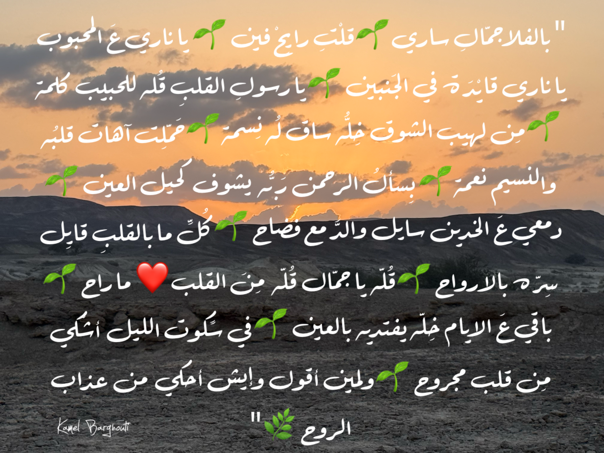 حب وحنين – اقتباس 12