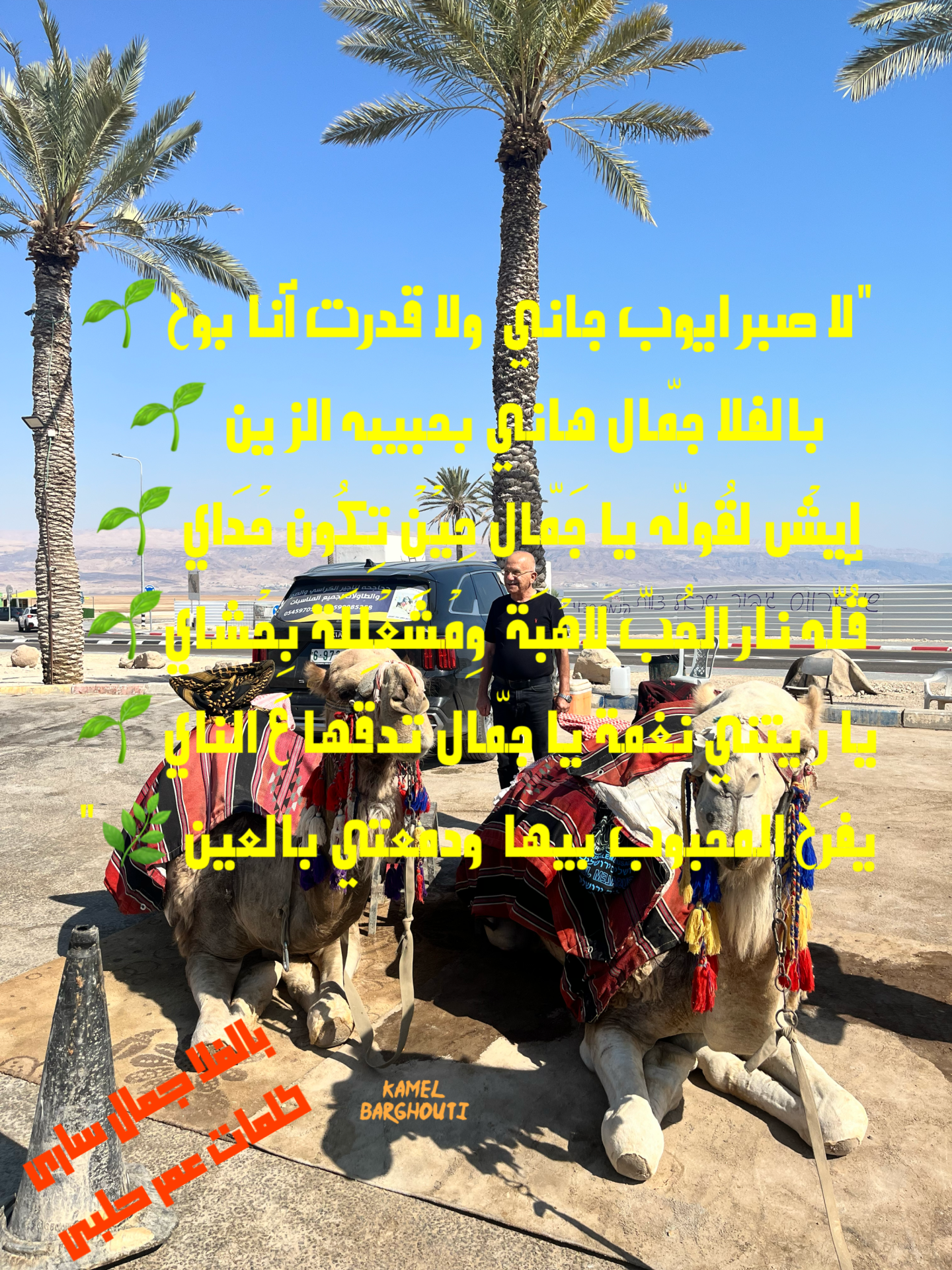 حب وحنين – اقتباس 13