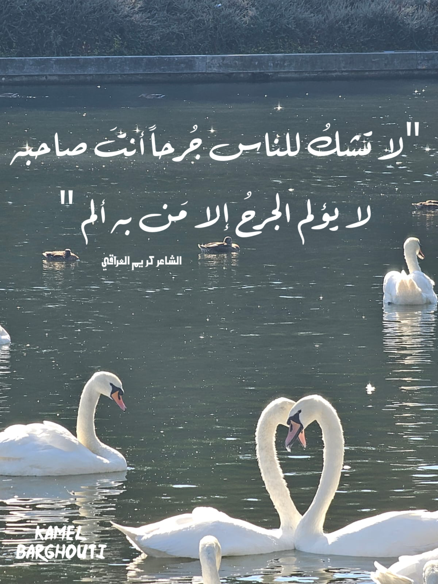 حكمة – اقتباس 29