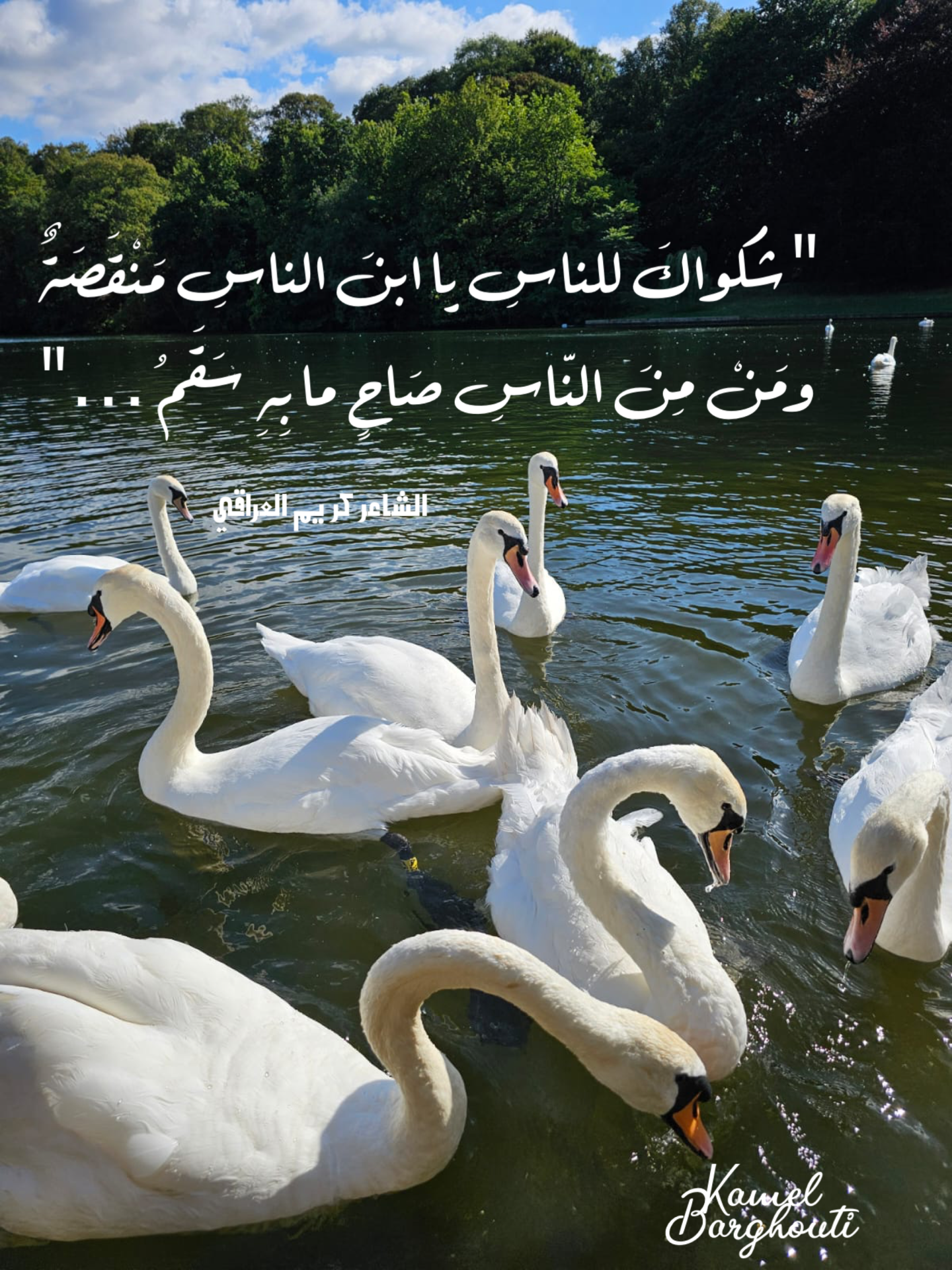 حكمة – اقتباس 30