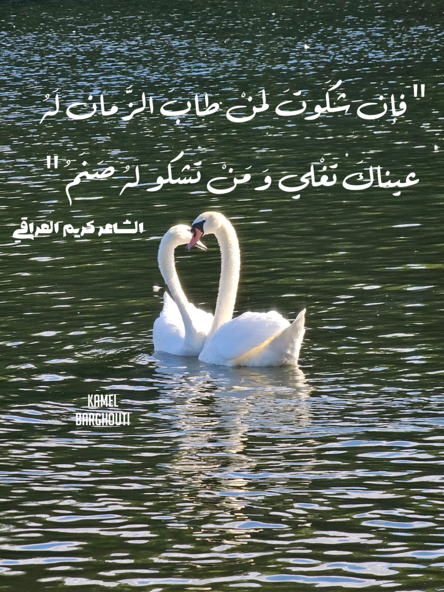 حكمة – اقتباس 31