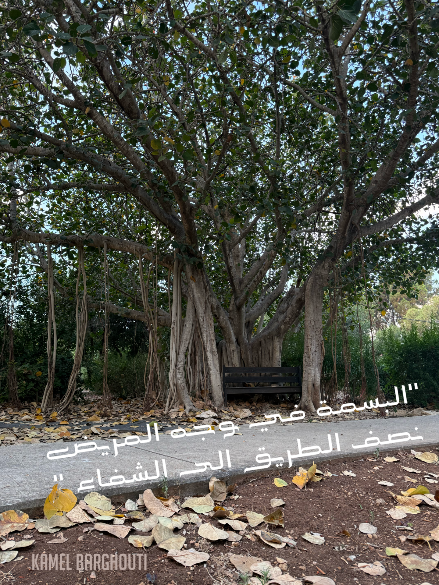 ابتسامة – اقتباس 2