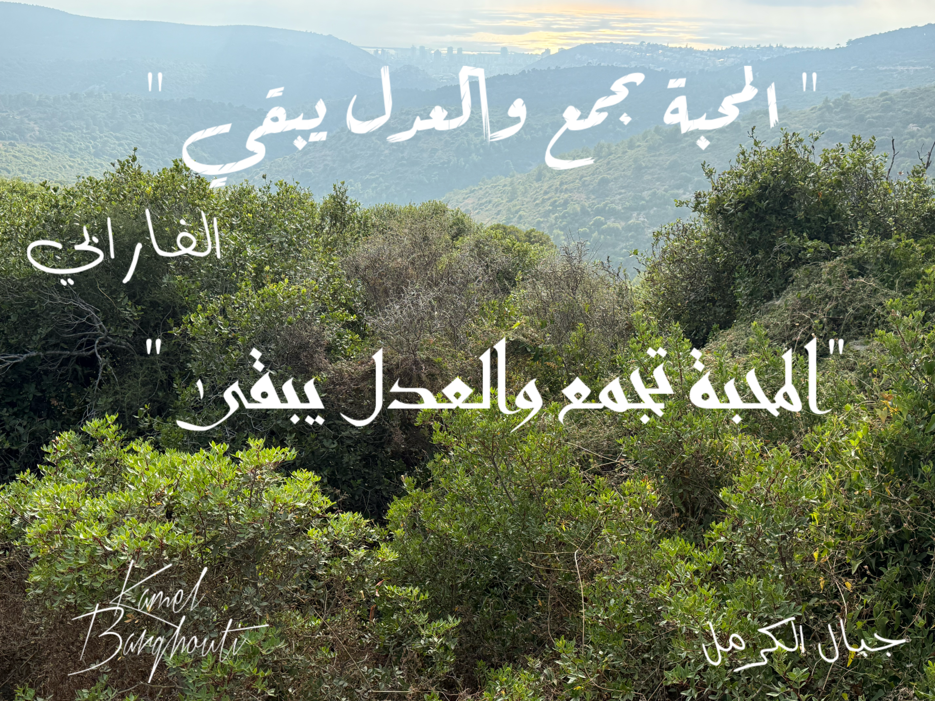 حكمة – اقتباس 37