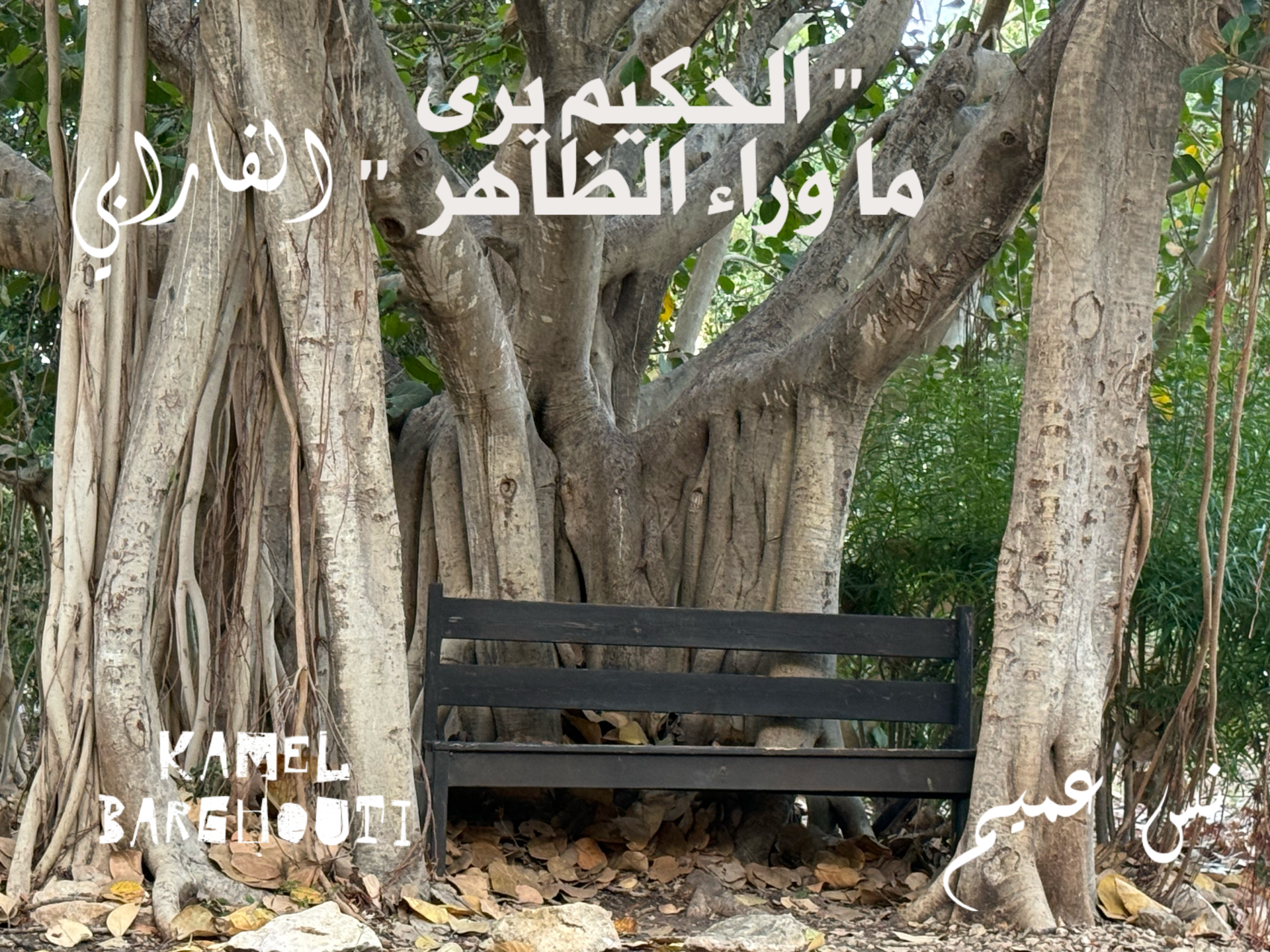 حكمة – اقتباس 41