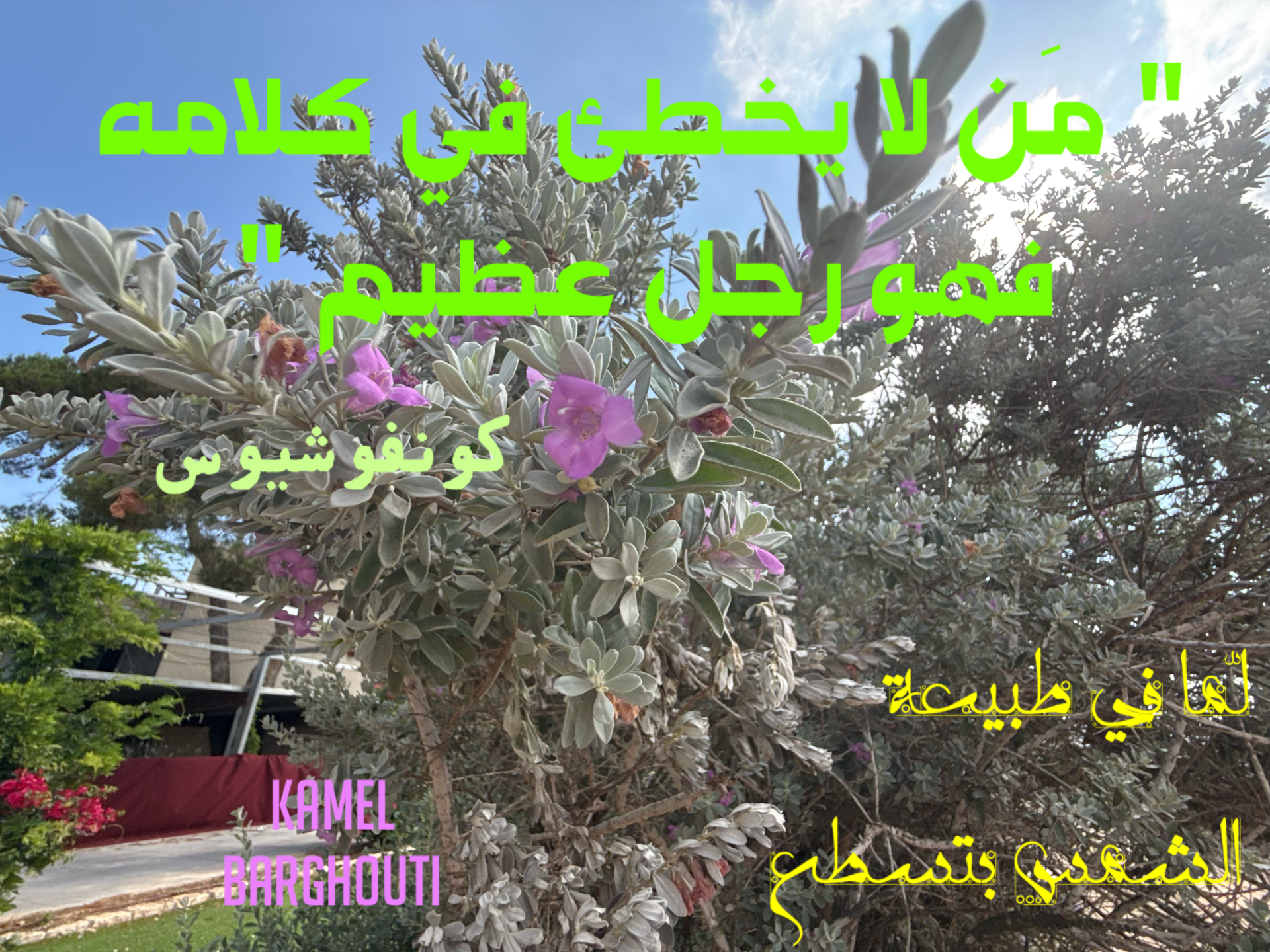 حكمة – اقتباس 55