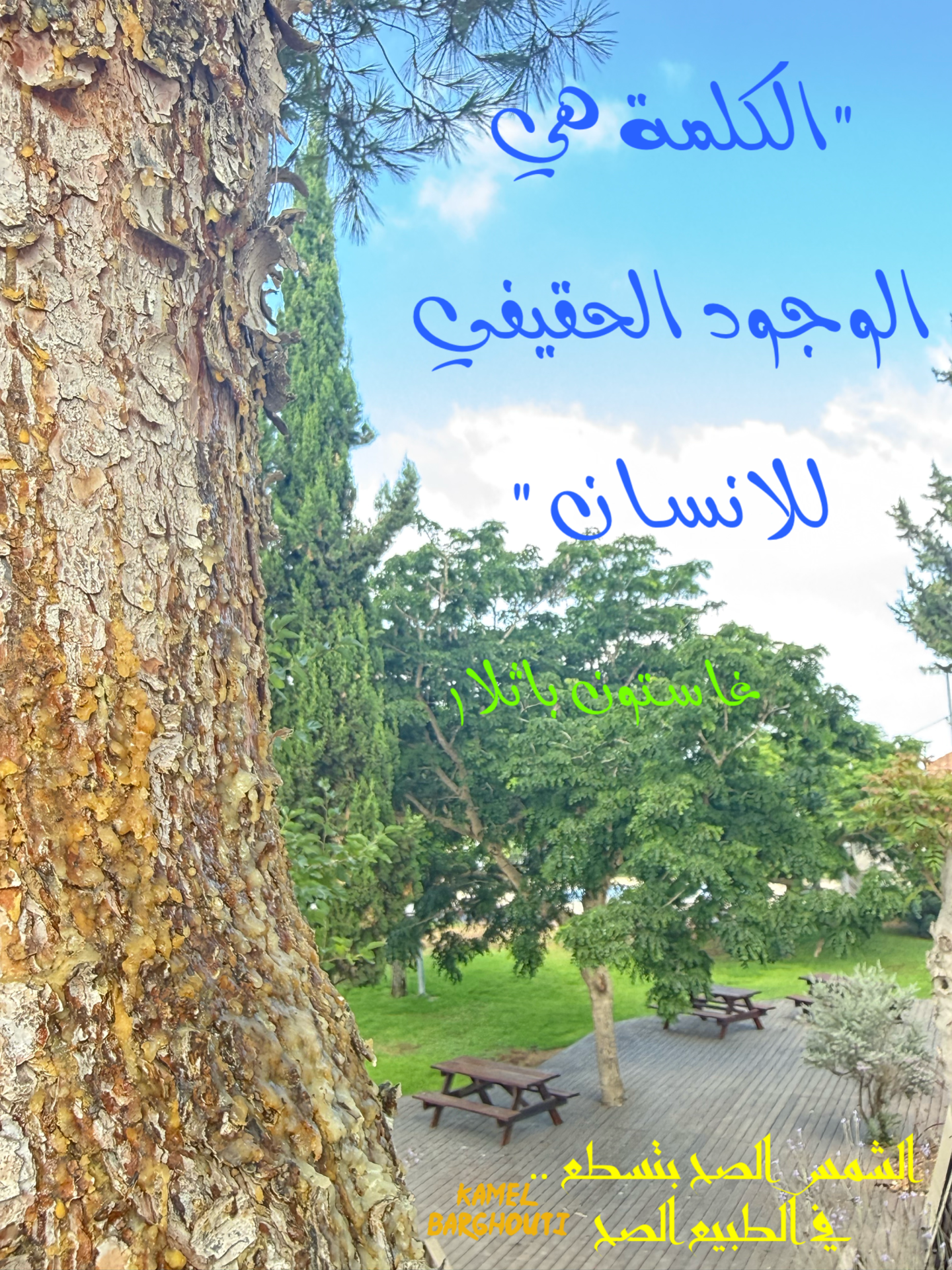كلام جميل – اقتباس 41