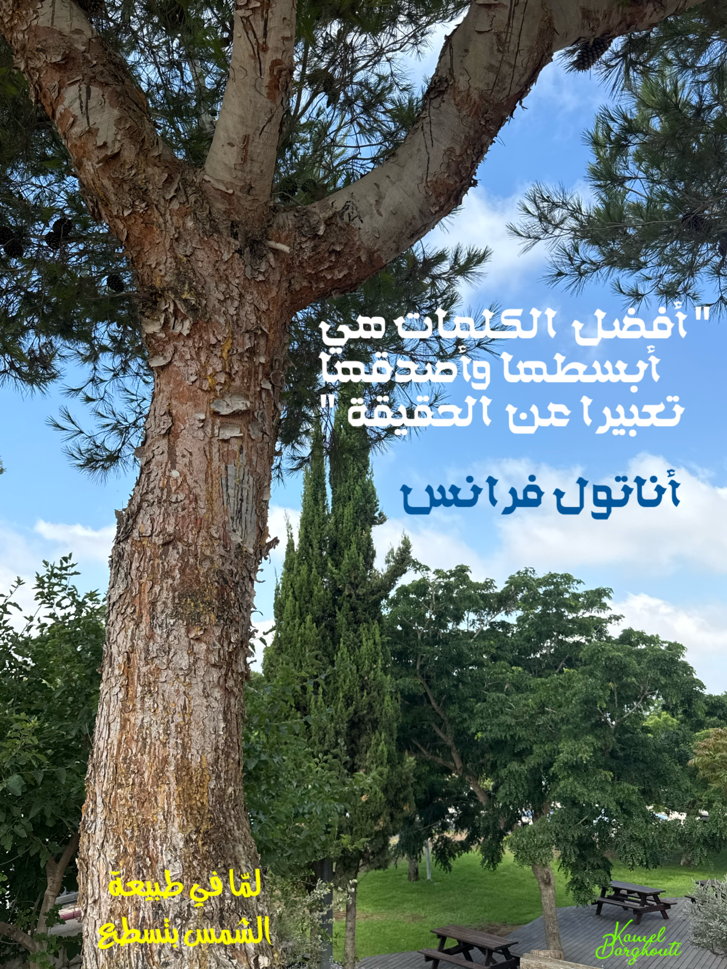 كلام جميل – اقتباس 42