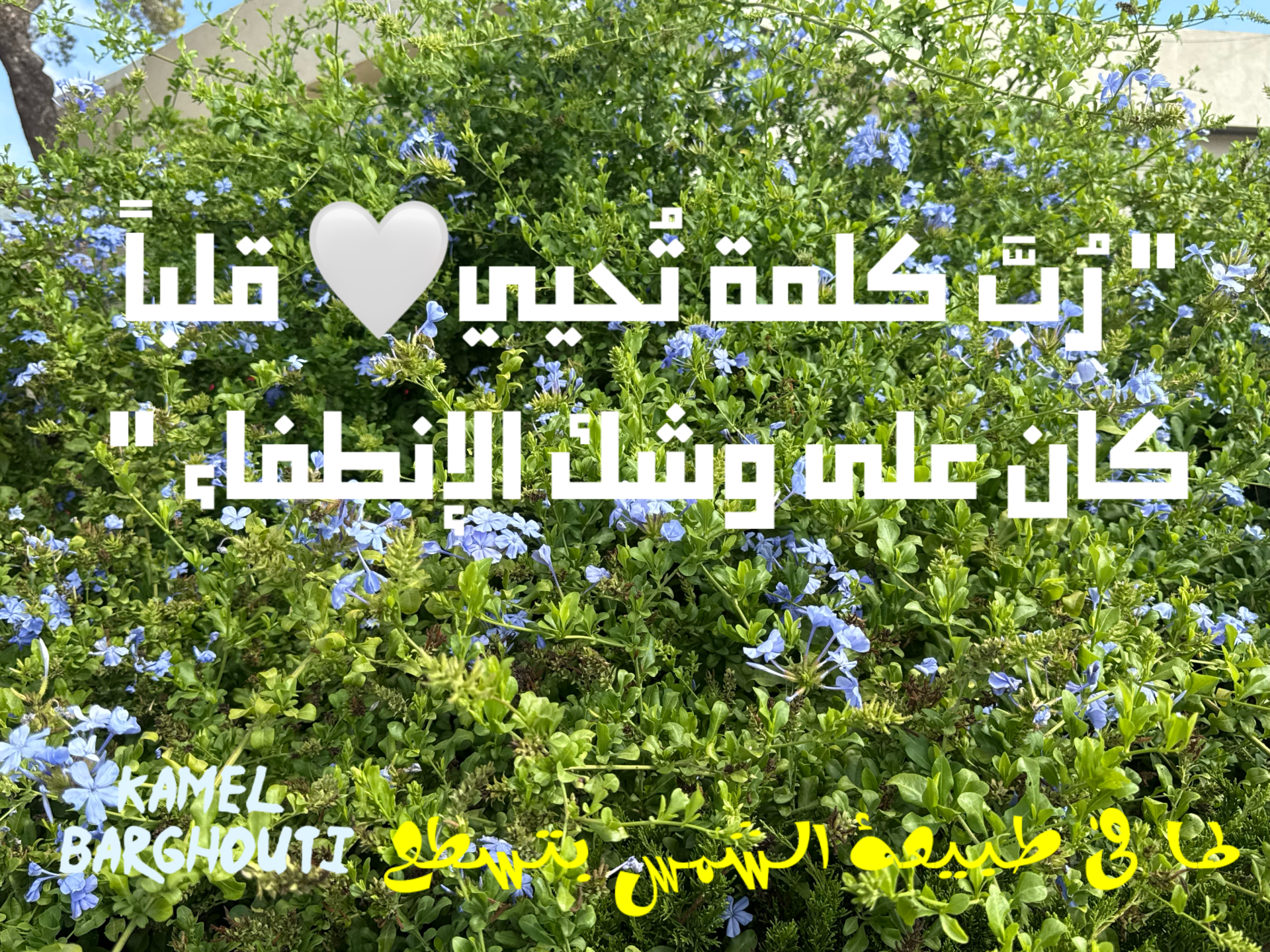 كلام جميل – اقتباس 44