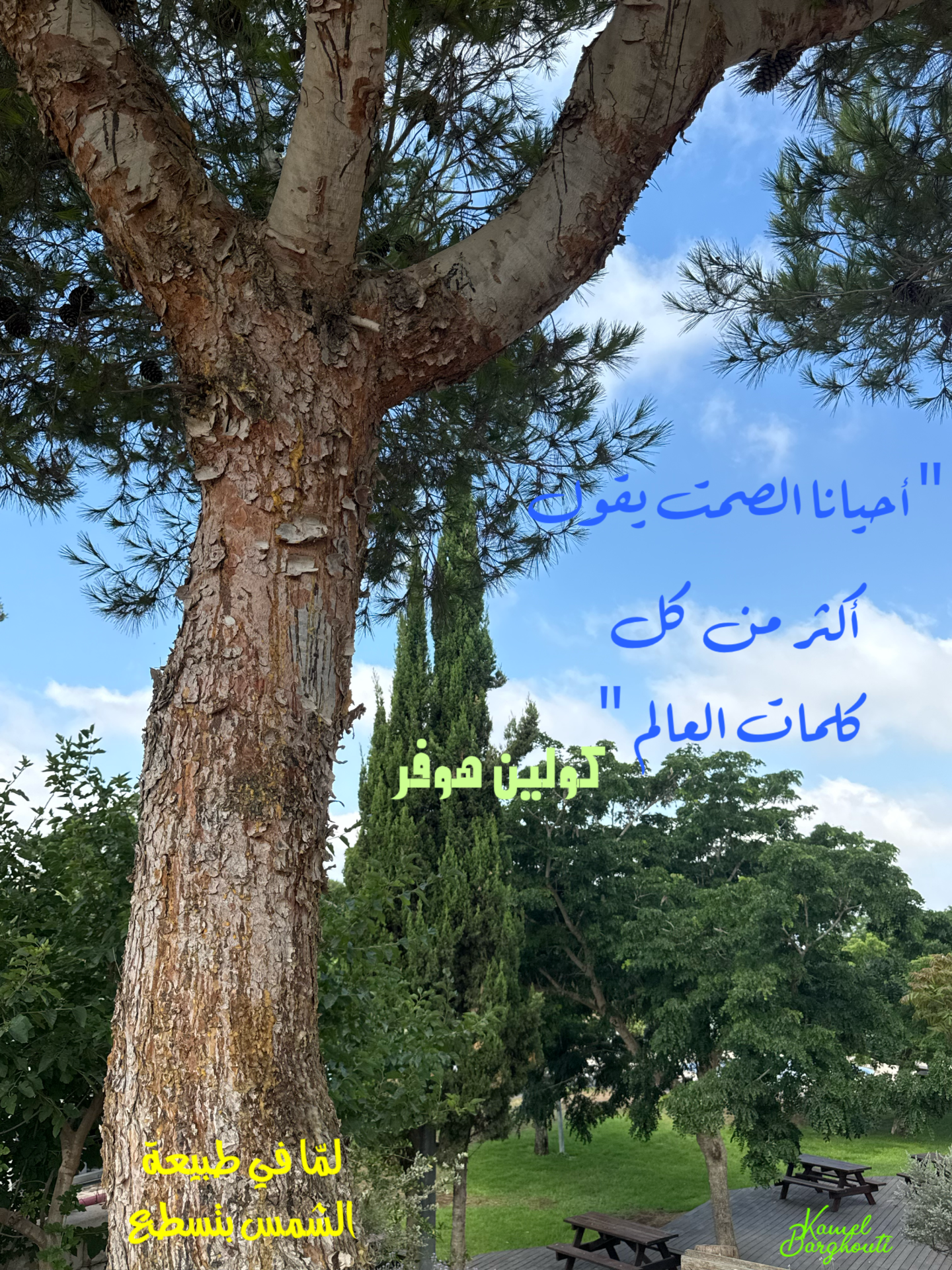 حكمة – اقتباس 62