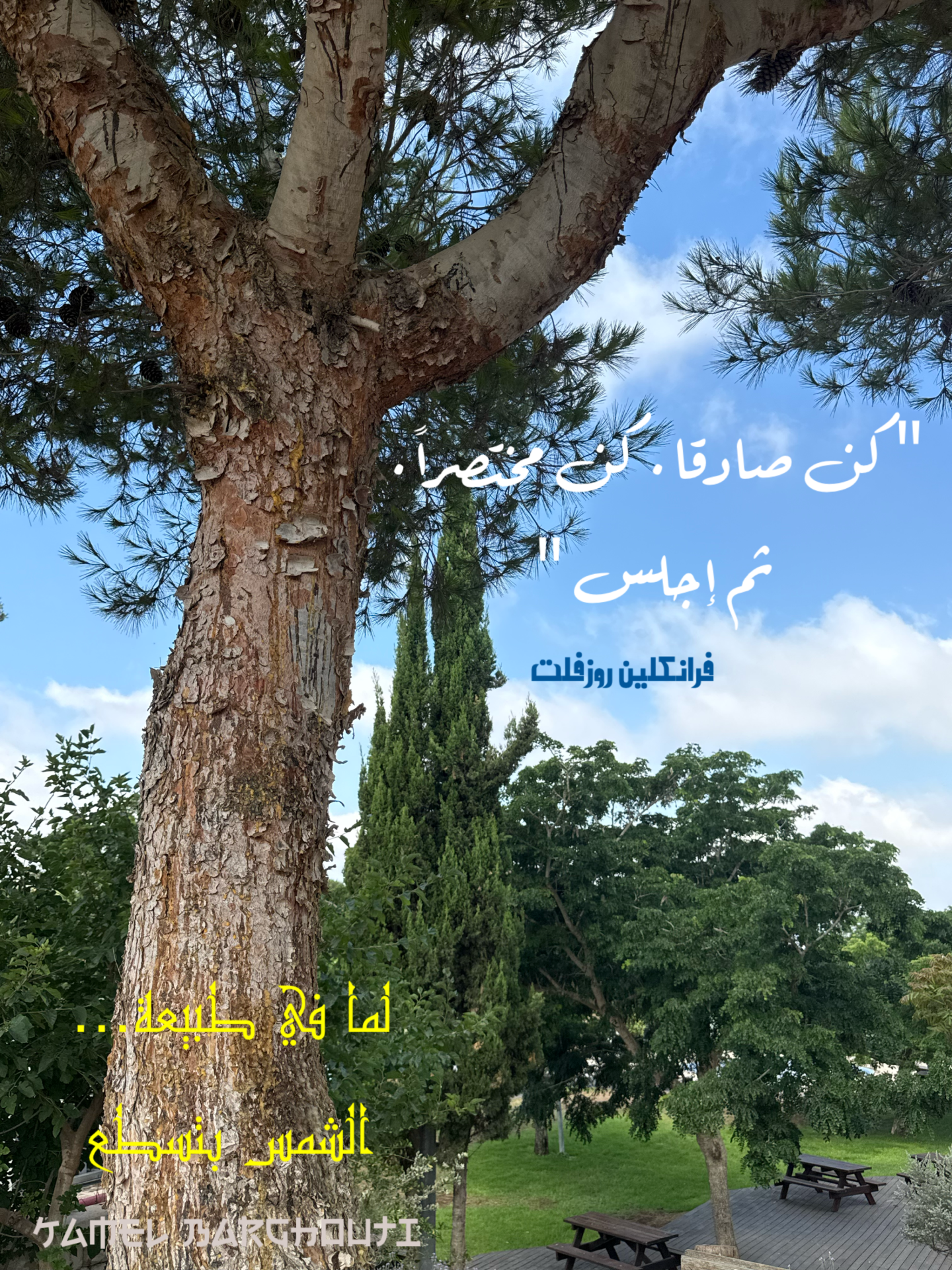 قيم إنسانية – اقتباس 8
