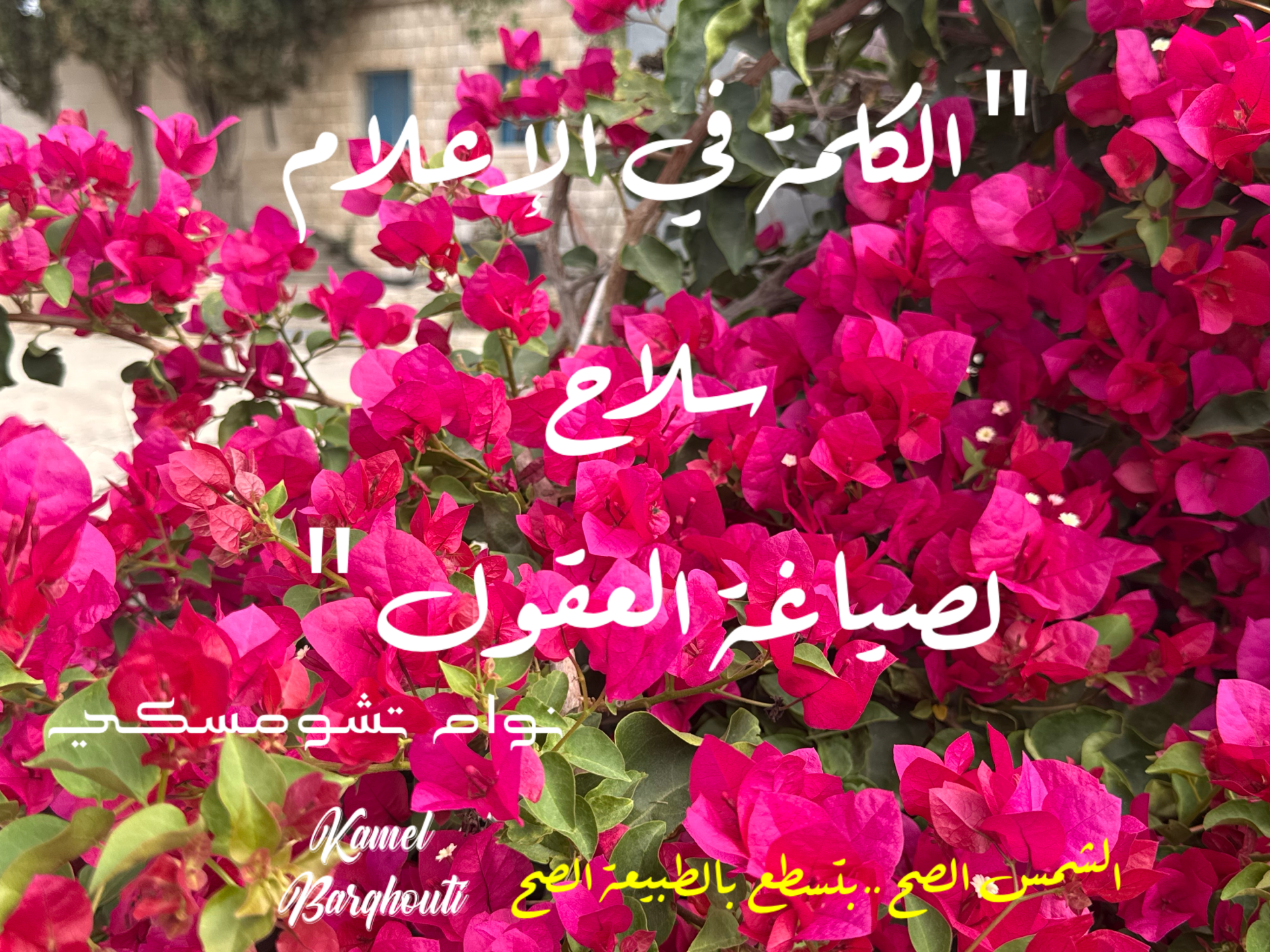قيم إنسانية – اقتباس 13