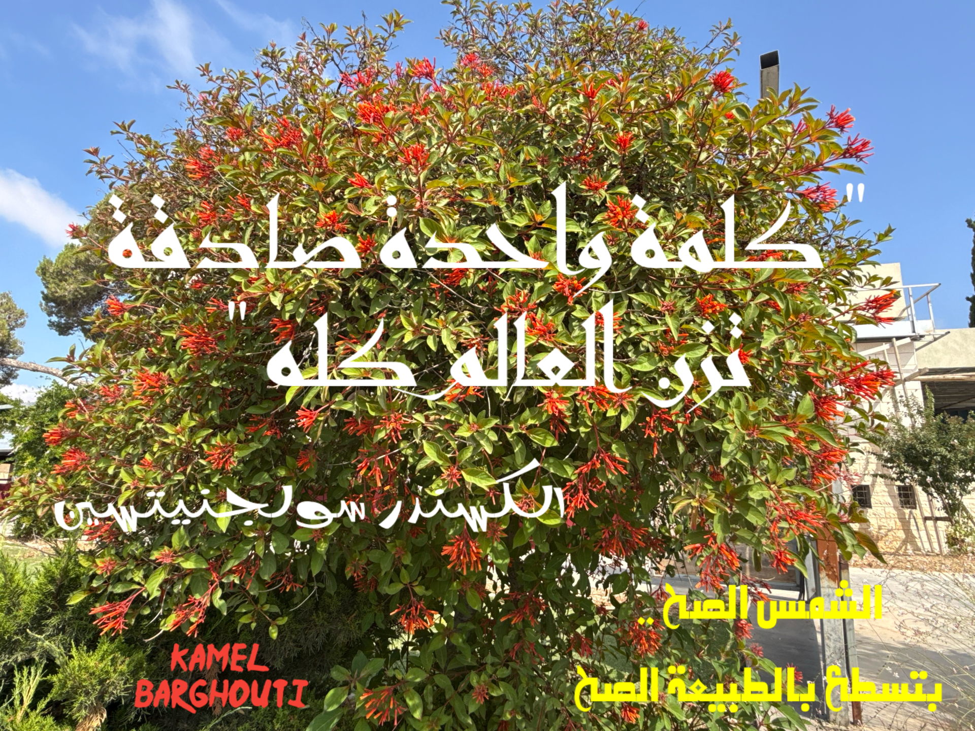 الصدق – اقتباس 3