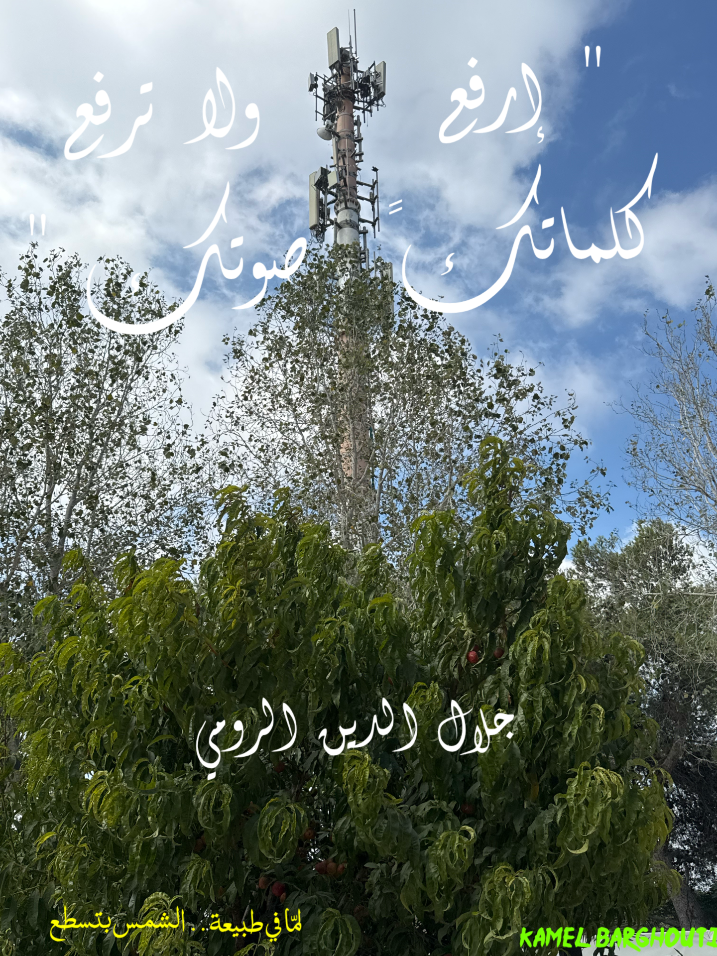 قيم إنسانية – اقتباس 15