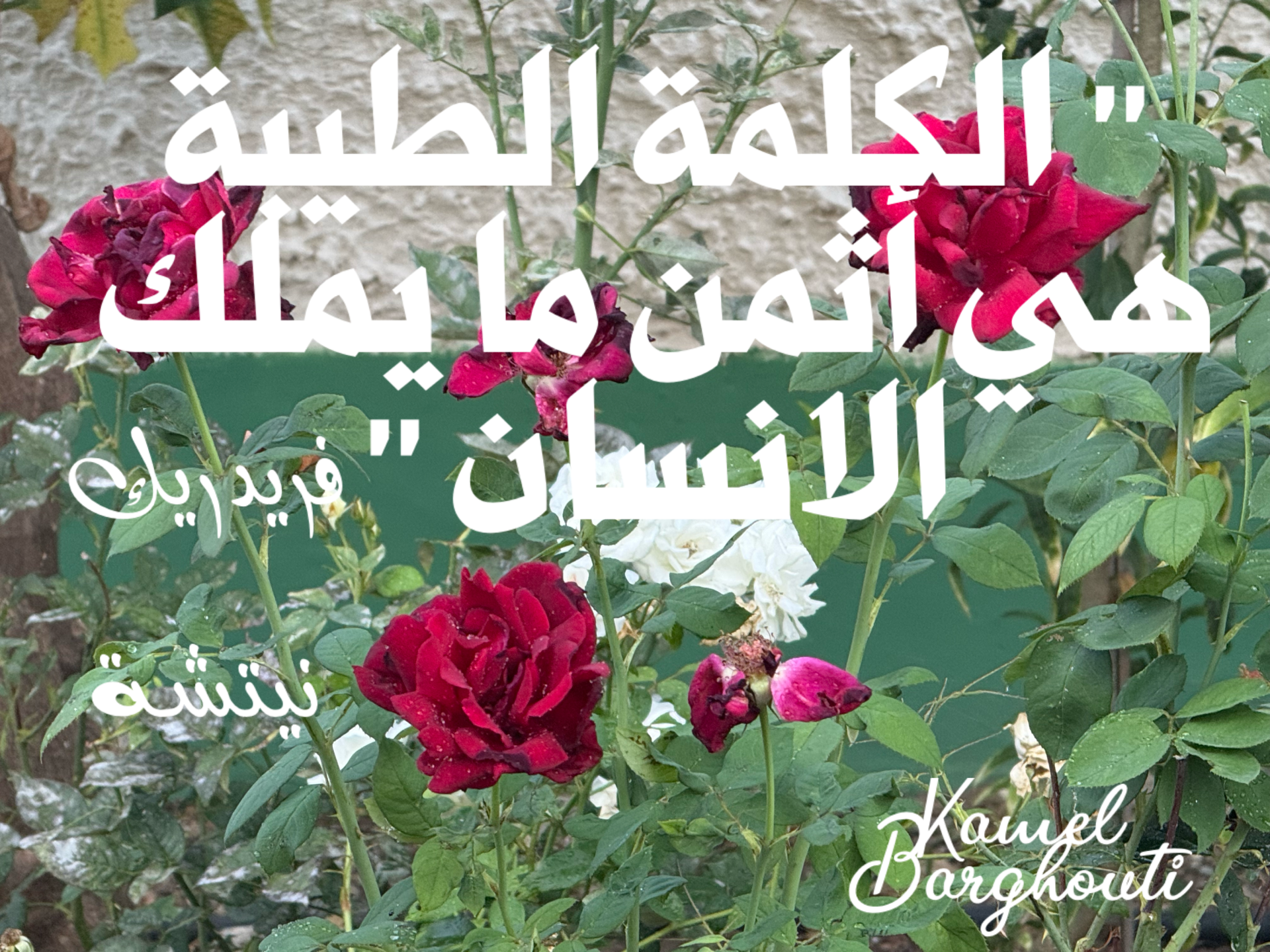 قيم إنسانية – اقتباس 17