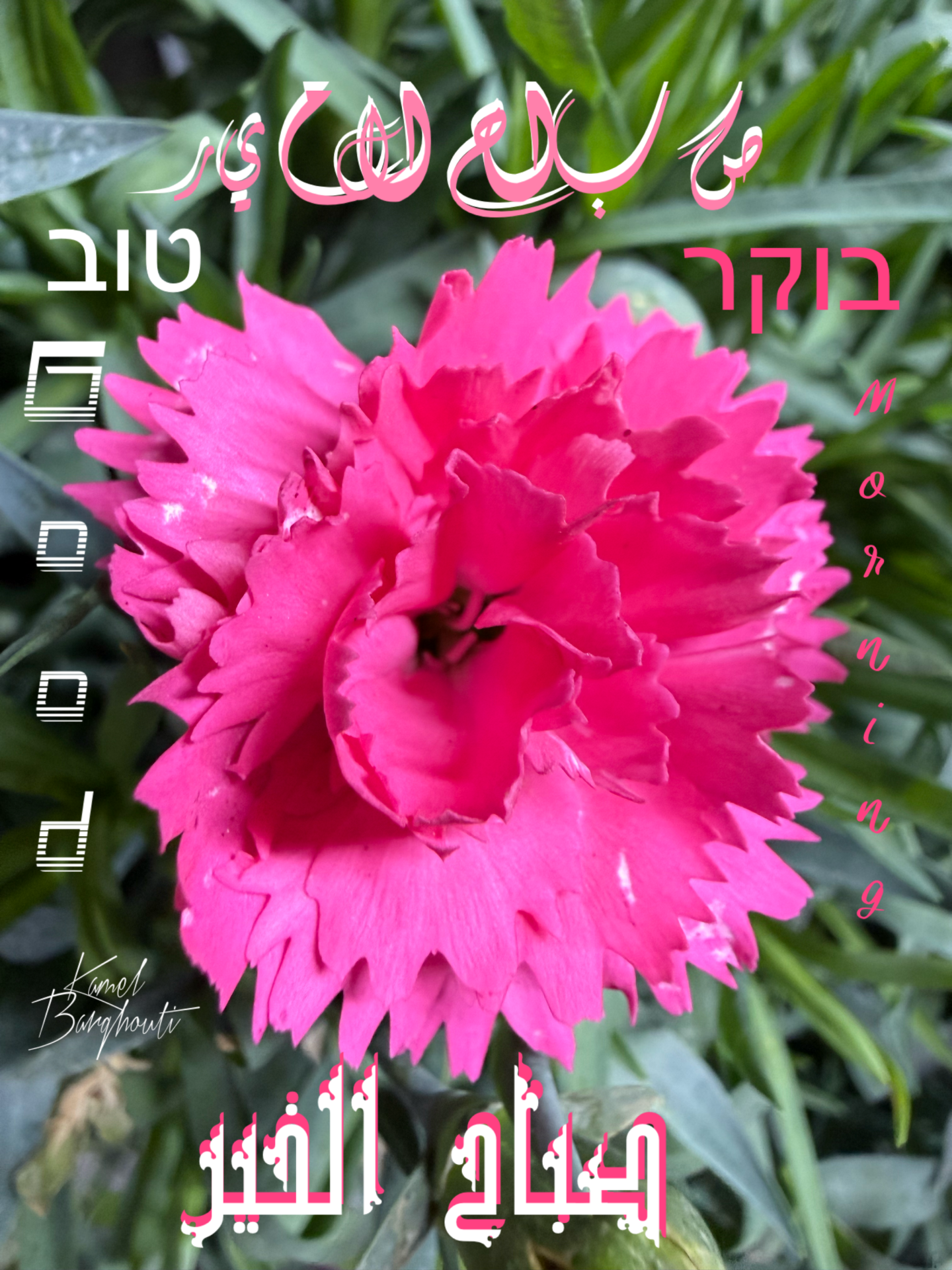 العبرية والأنجليزية – اقتباس 2