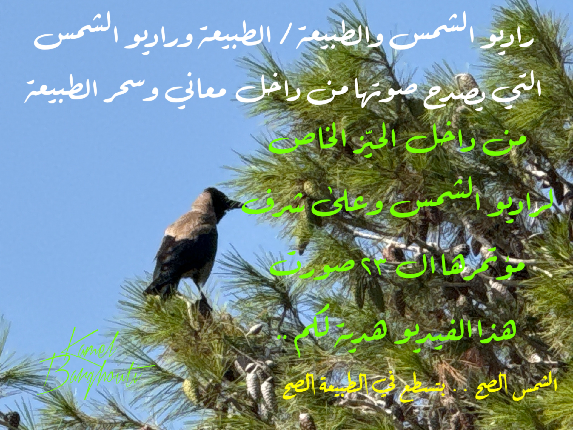 كلام جميل – اقتباس 47