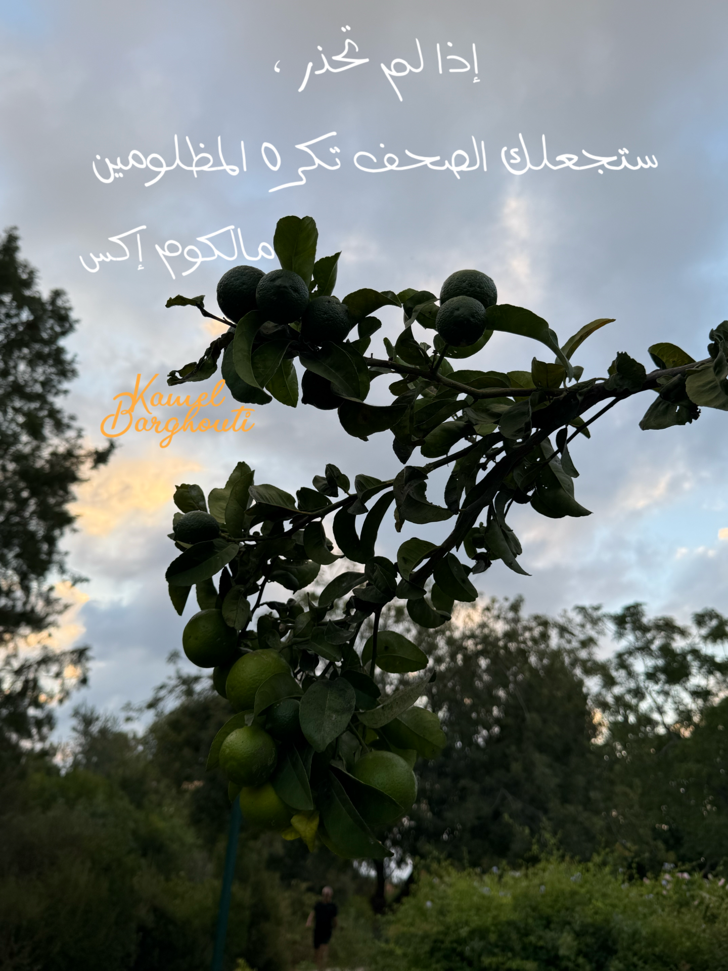 حكمة – اقتباس 24
