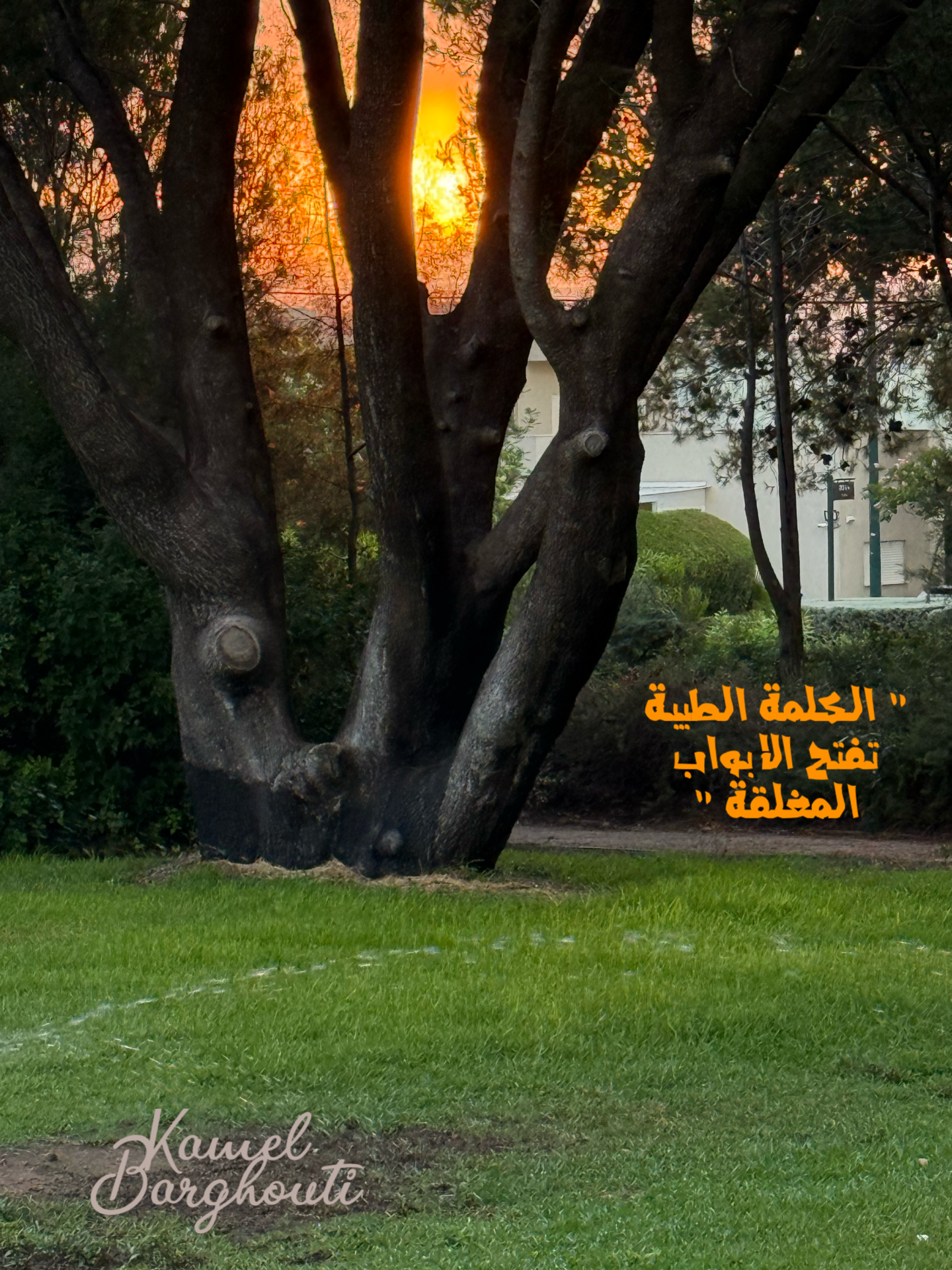 أمثال محلية – اقتباس 9