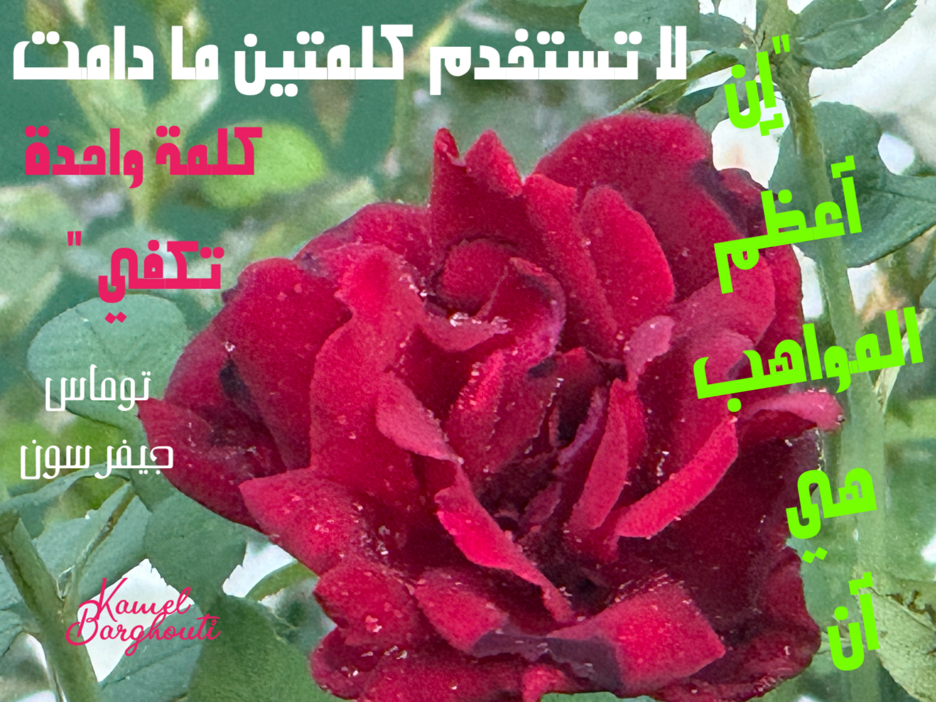 حكمة – اقتباس 20