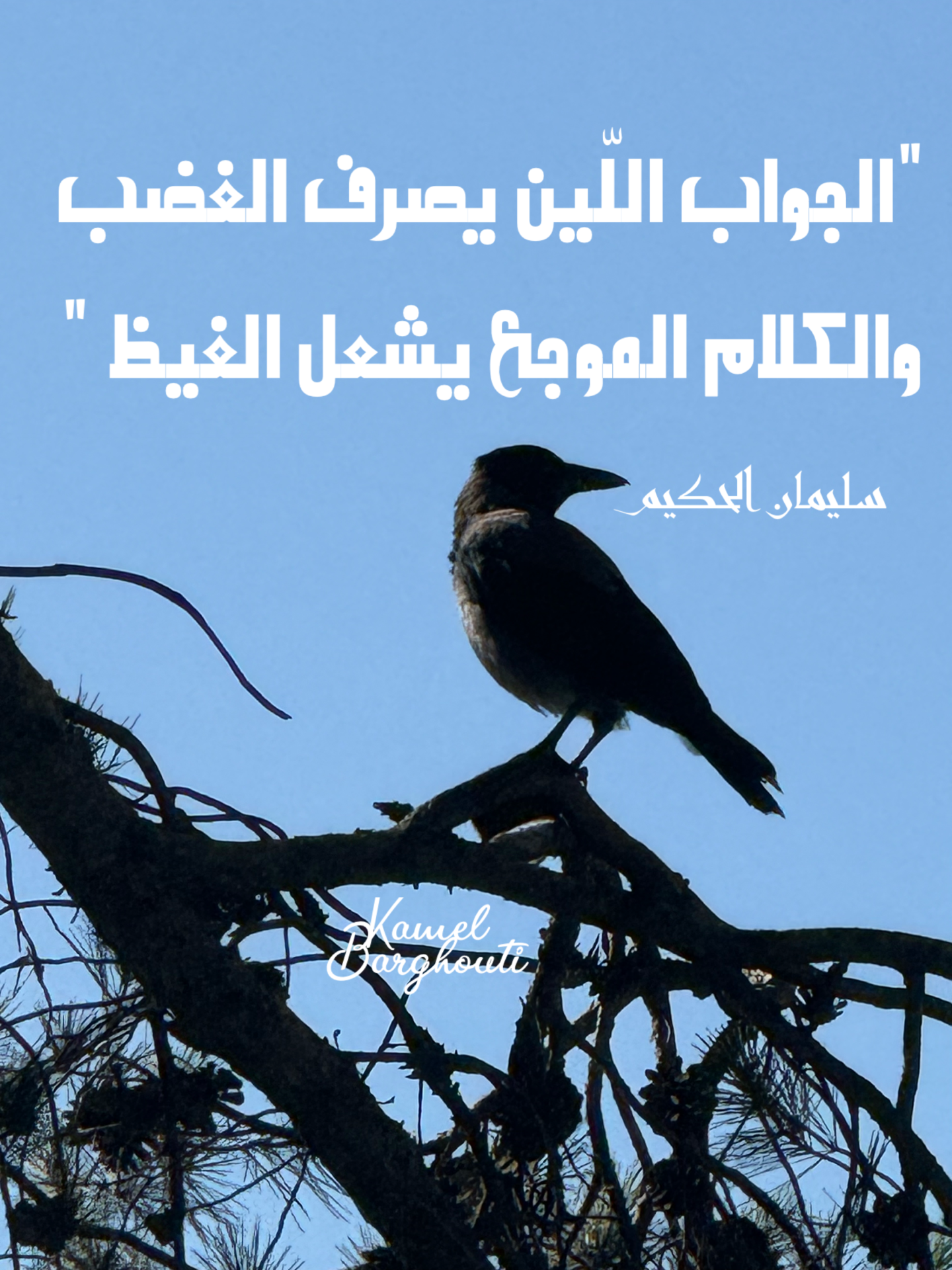 حكمة – اقتباس 21
