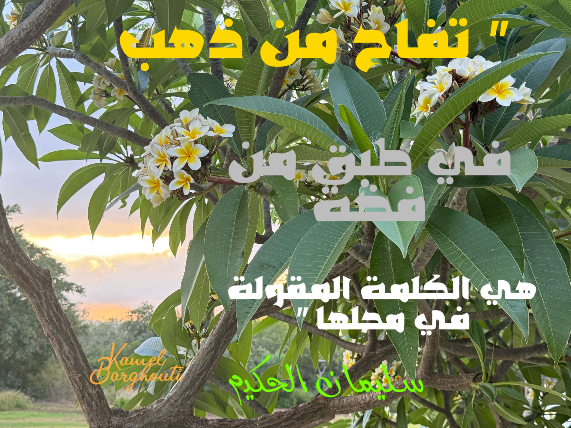 حكمة – اقتباس 22