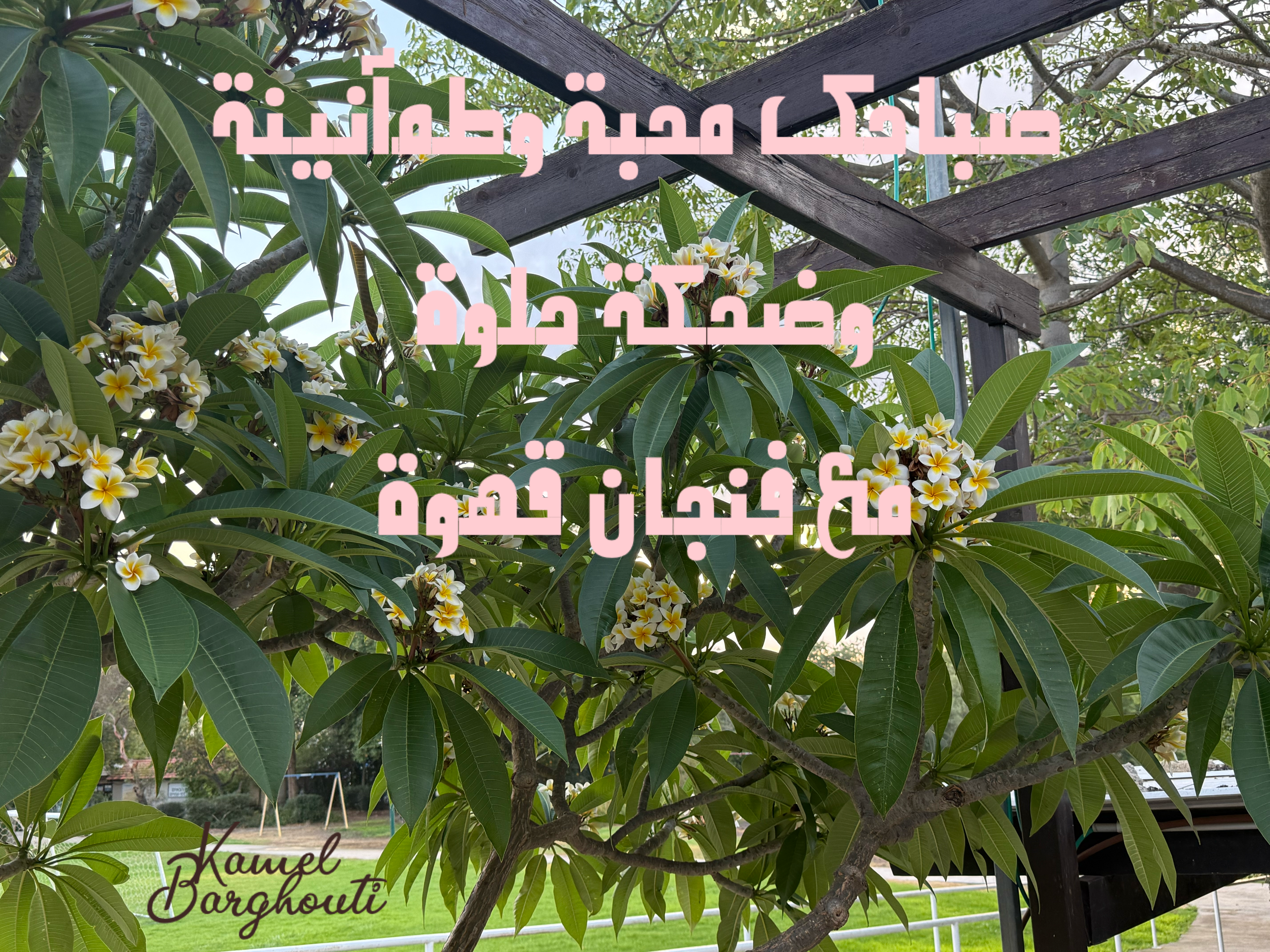 דיבור יפה – ציטוט 3