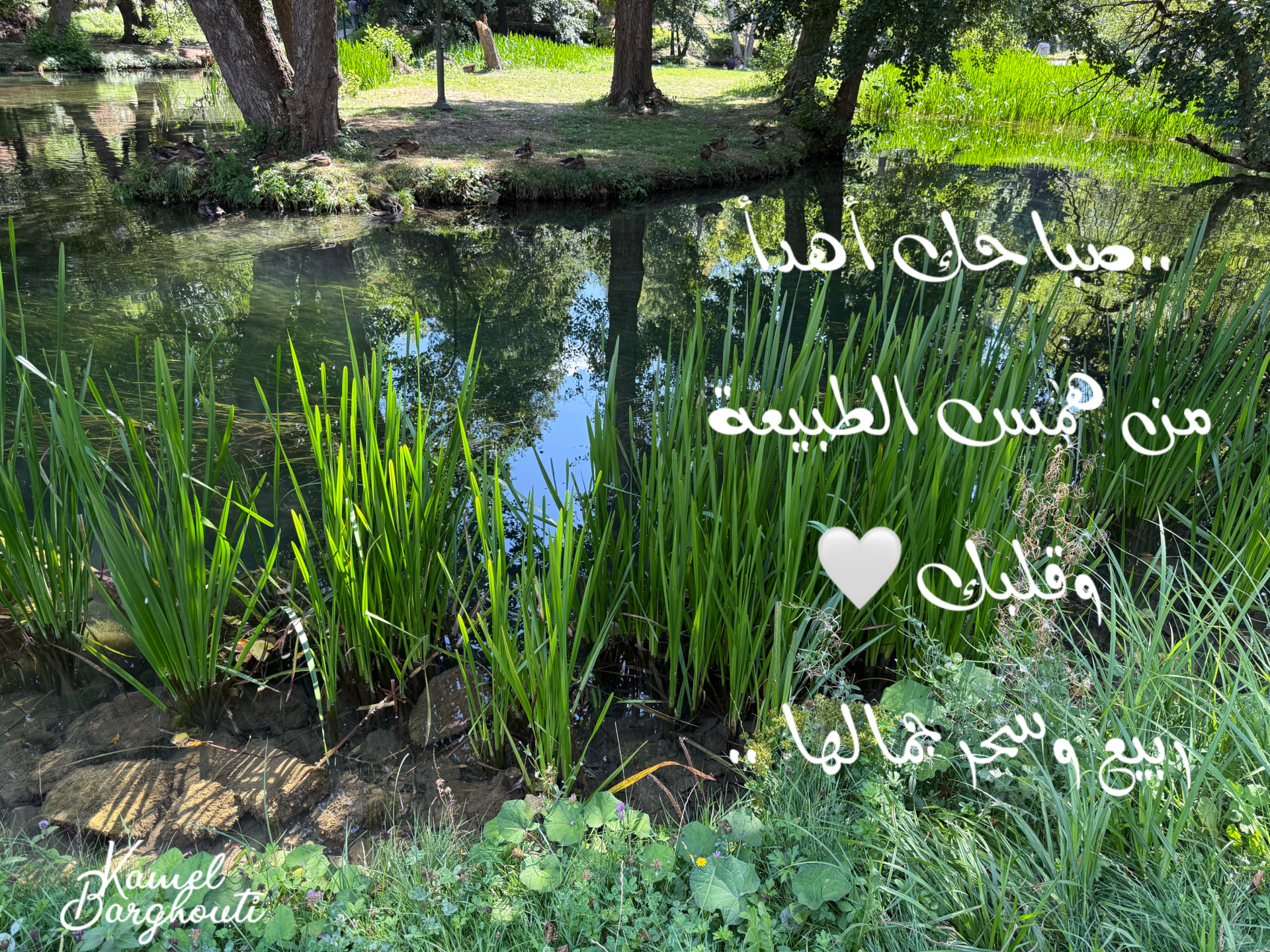 صباح الخير – اقتباس 4