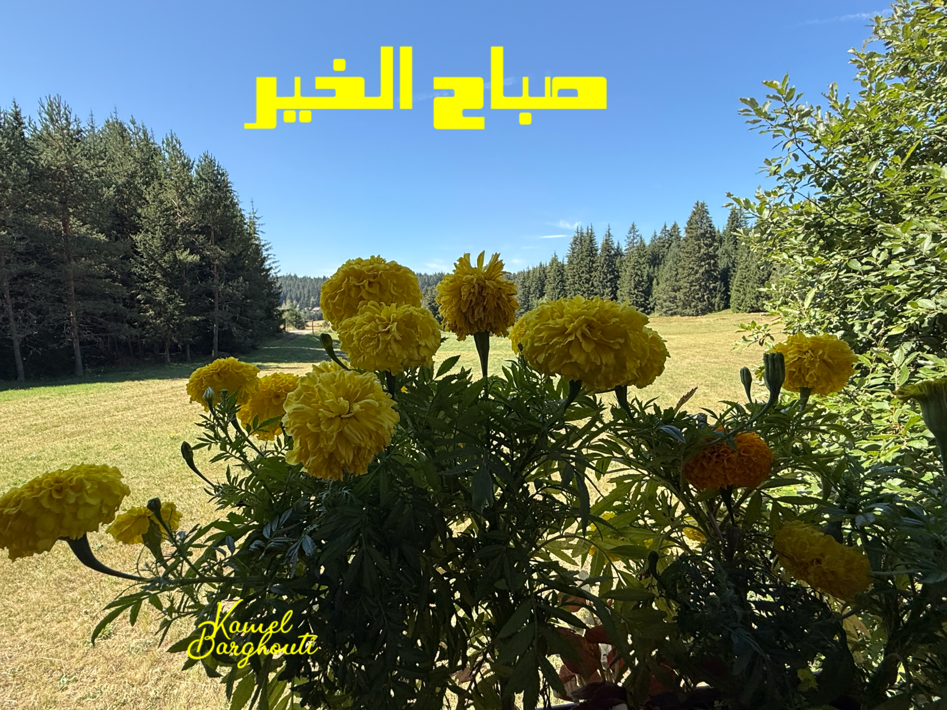 صباح الخير – اقتباس 2