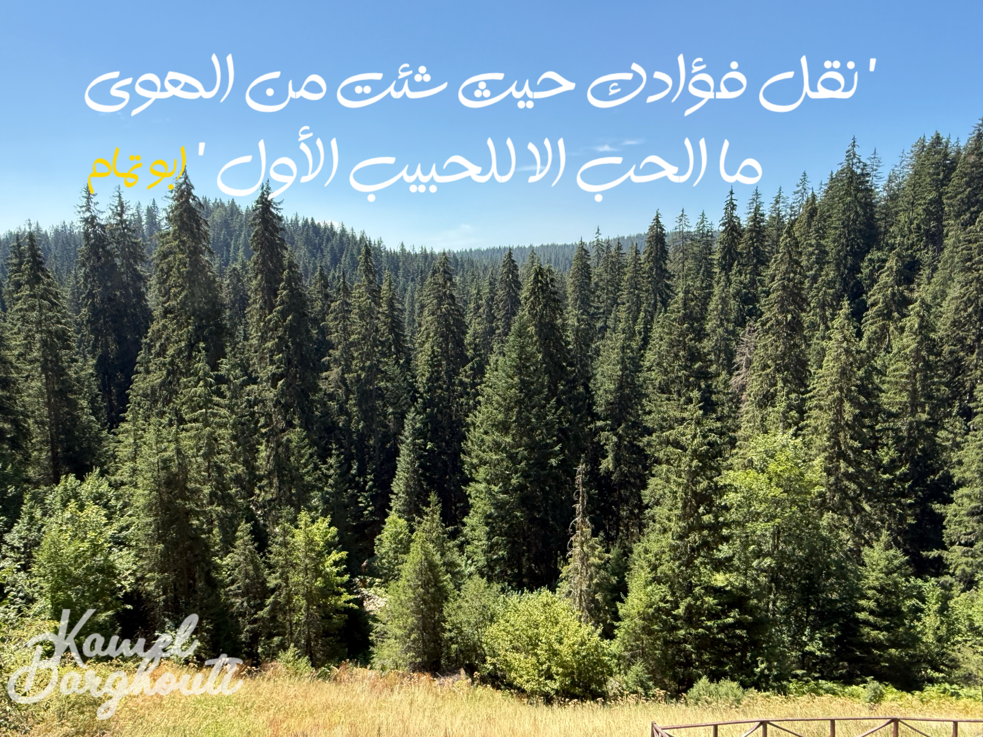 حب وحنين – اقتباس 10
