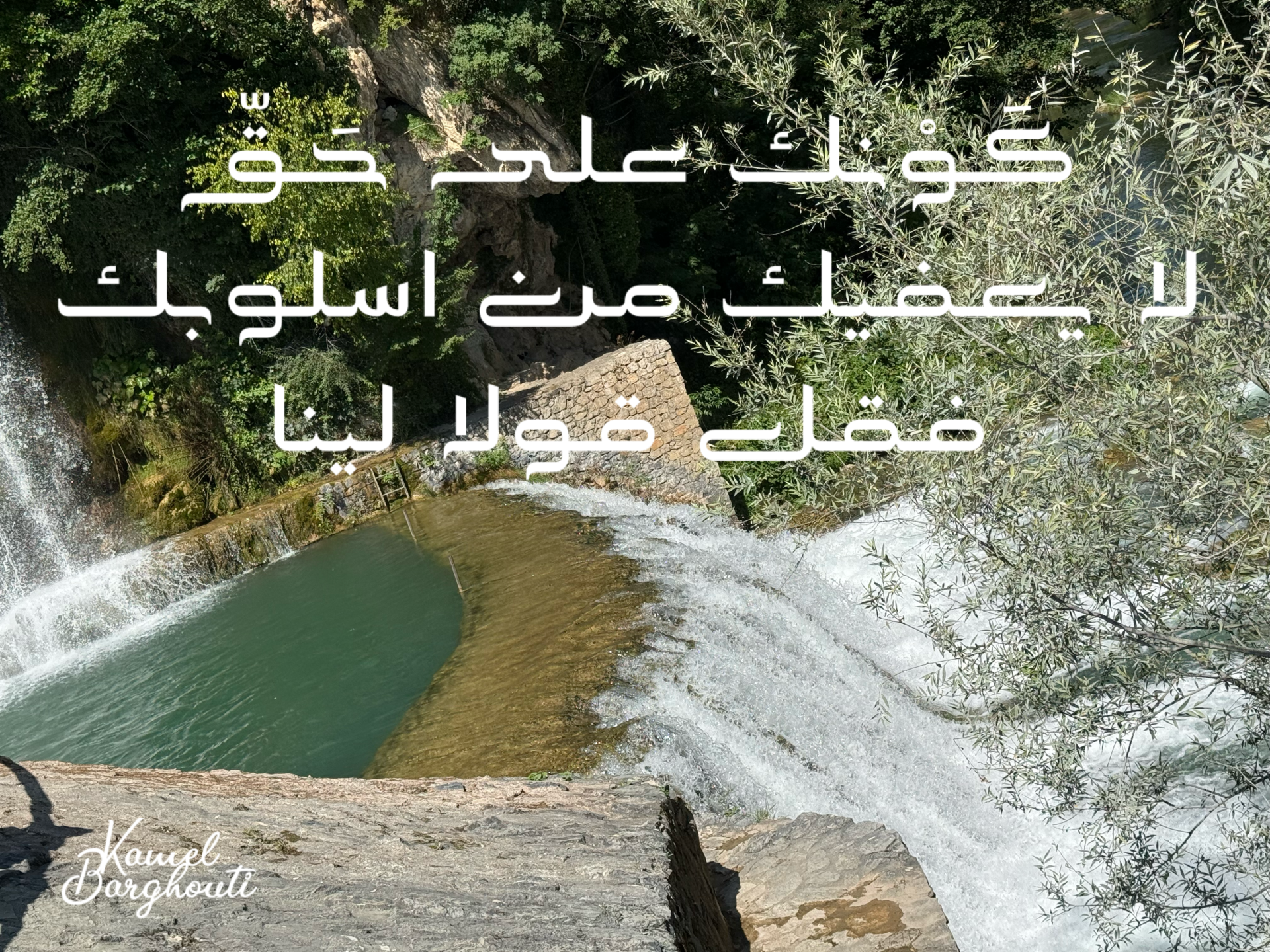 قيم إنسانية – اقتباس 1