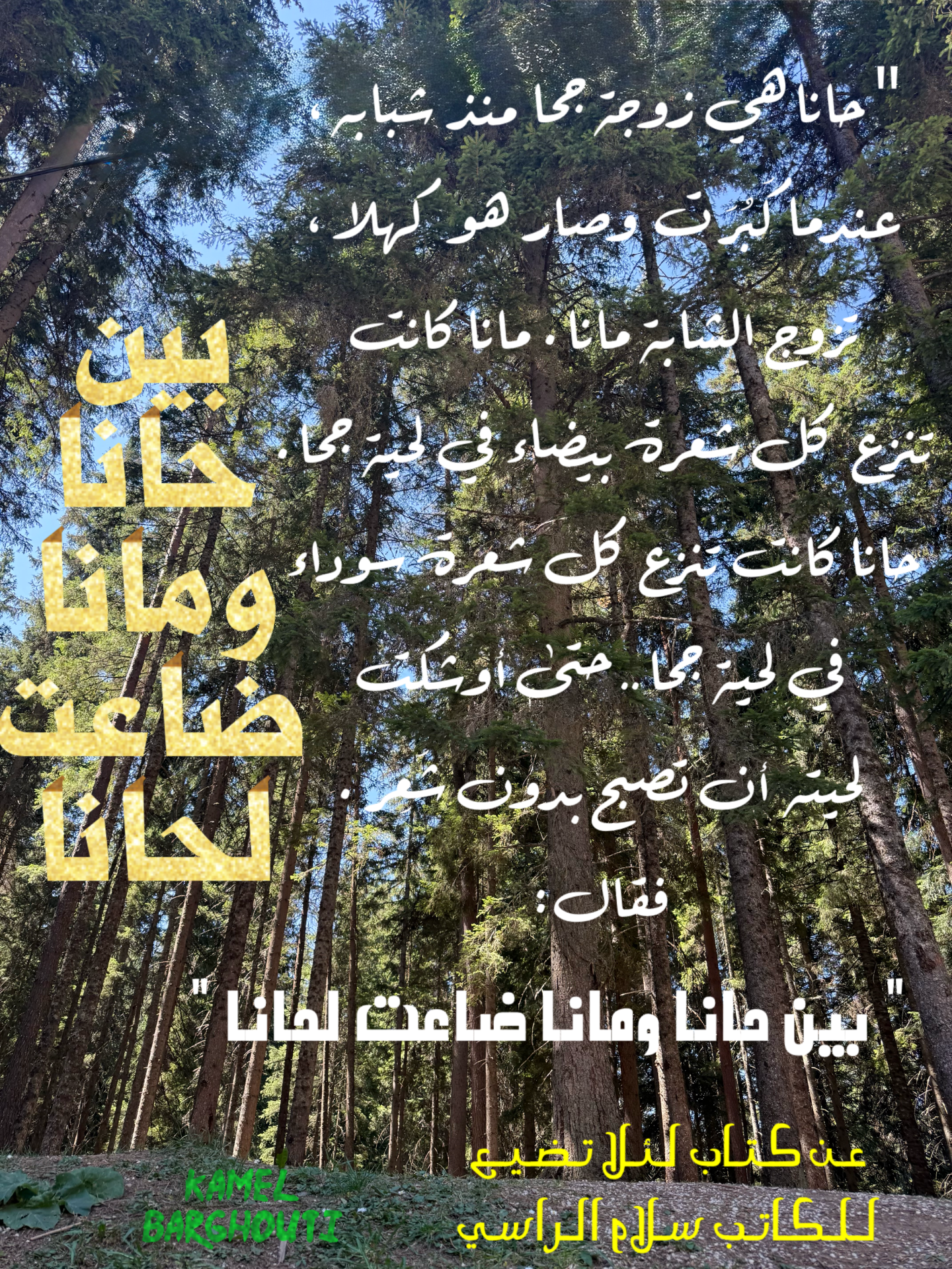 أمثال محلية – اقتباس 5