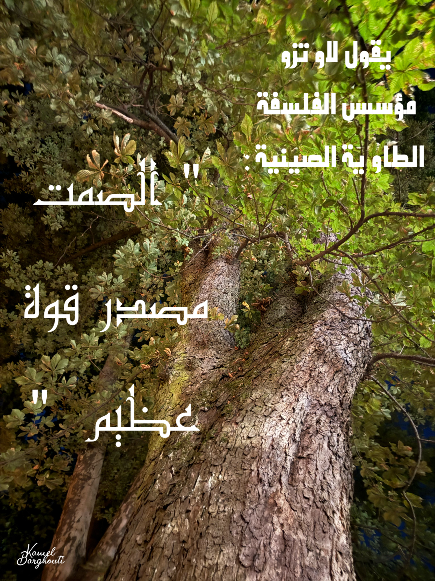 العزلة، الصمت، والتأمل – اقتباس 10