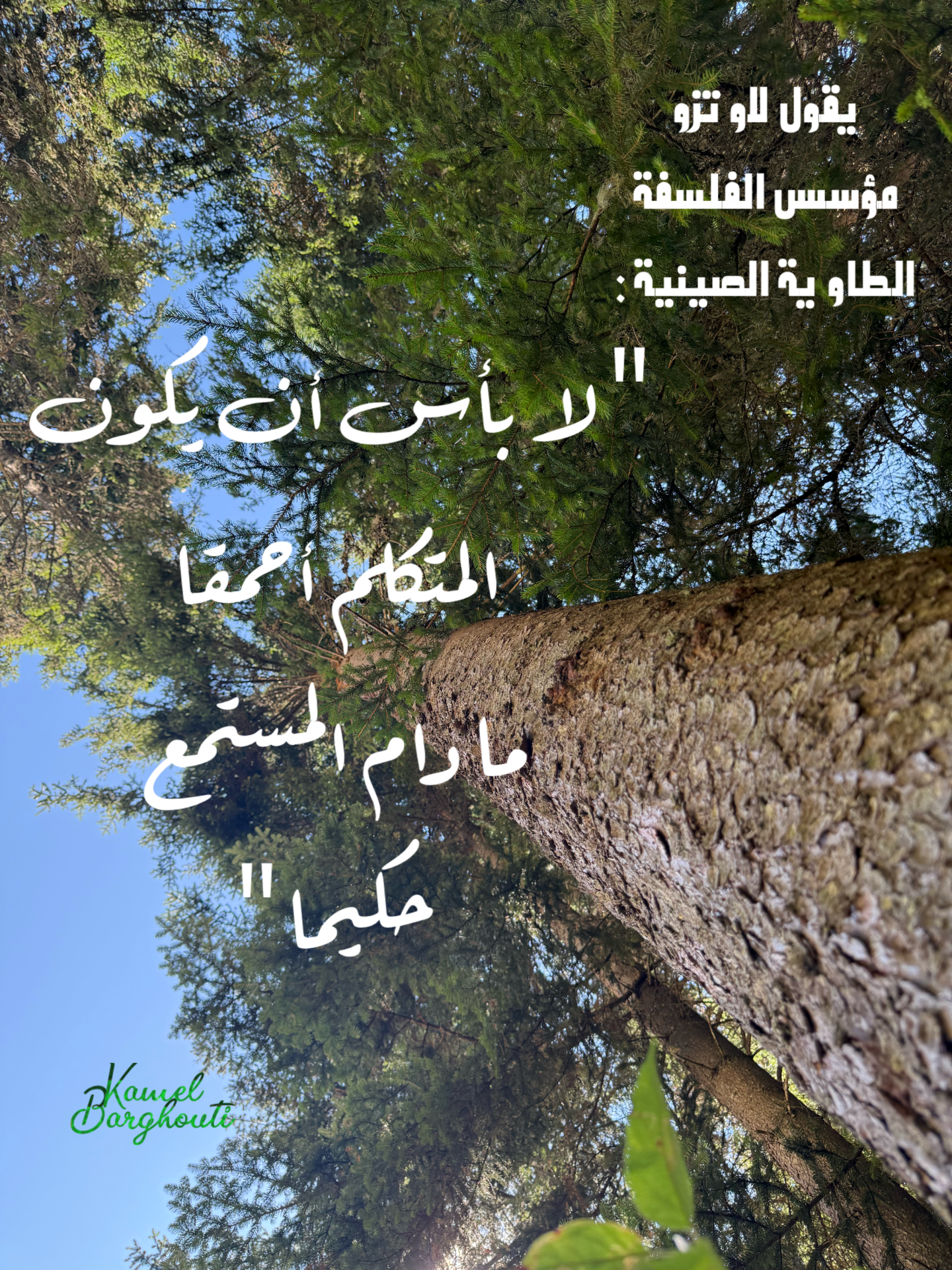حكمة – اقتباس 18