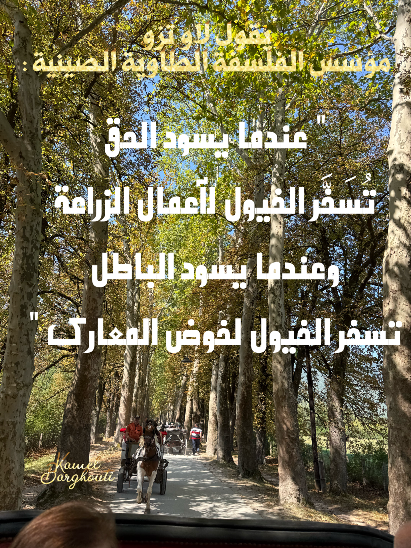 حكمة – اقتباس 19