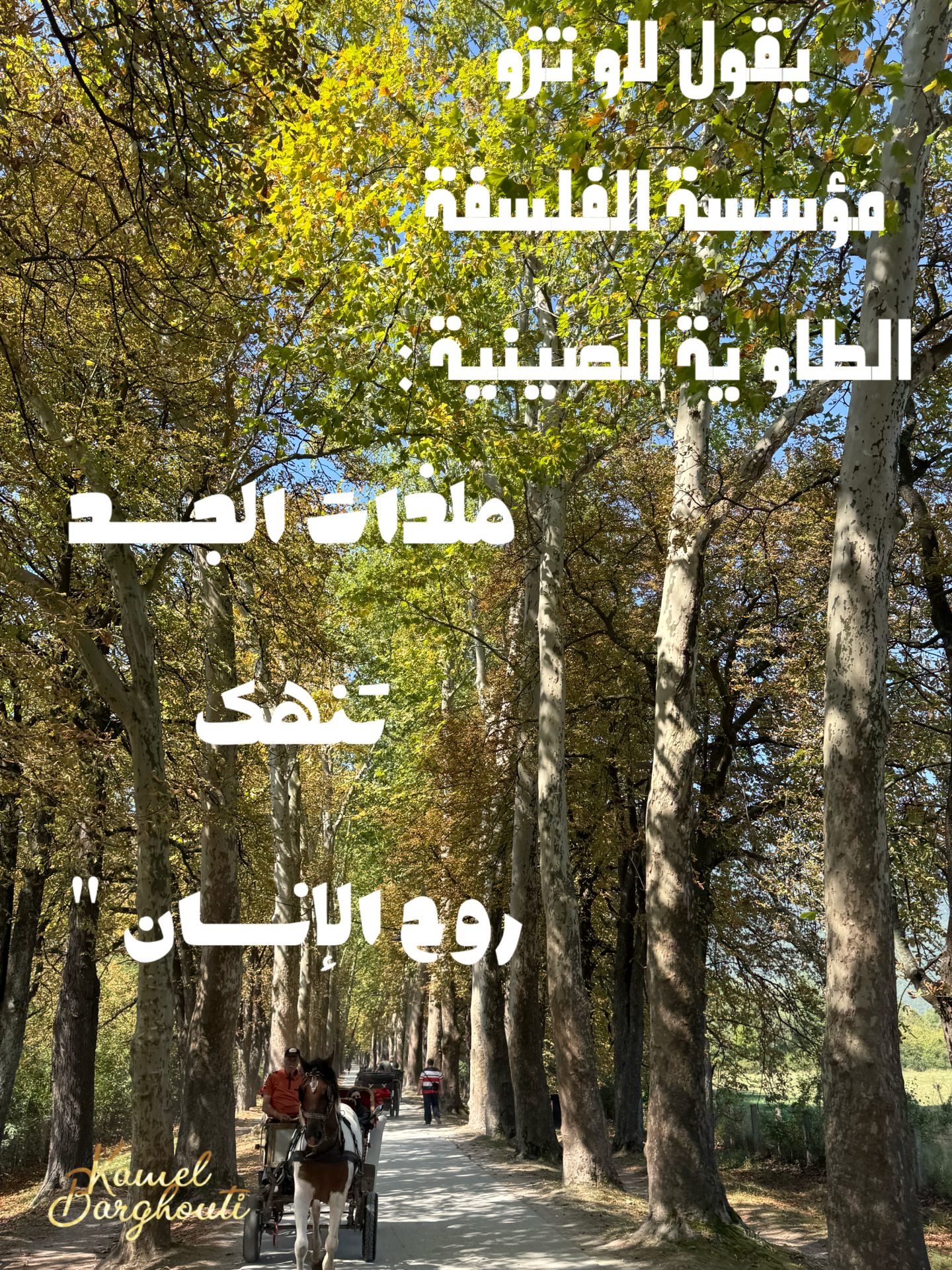العزلة، الصمت، والتأمل – اقتباس 13