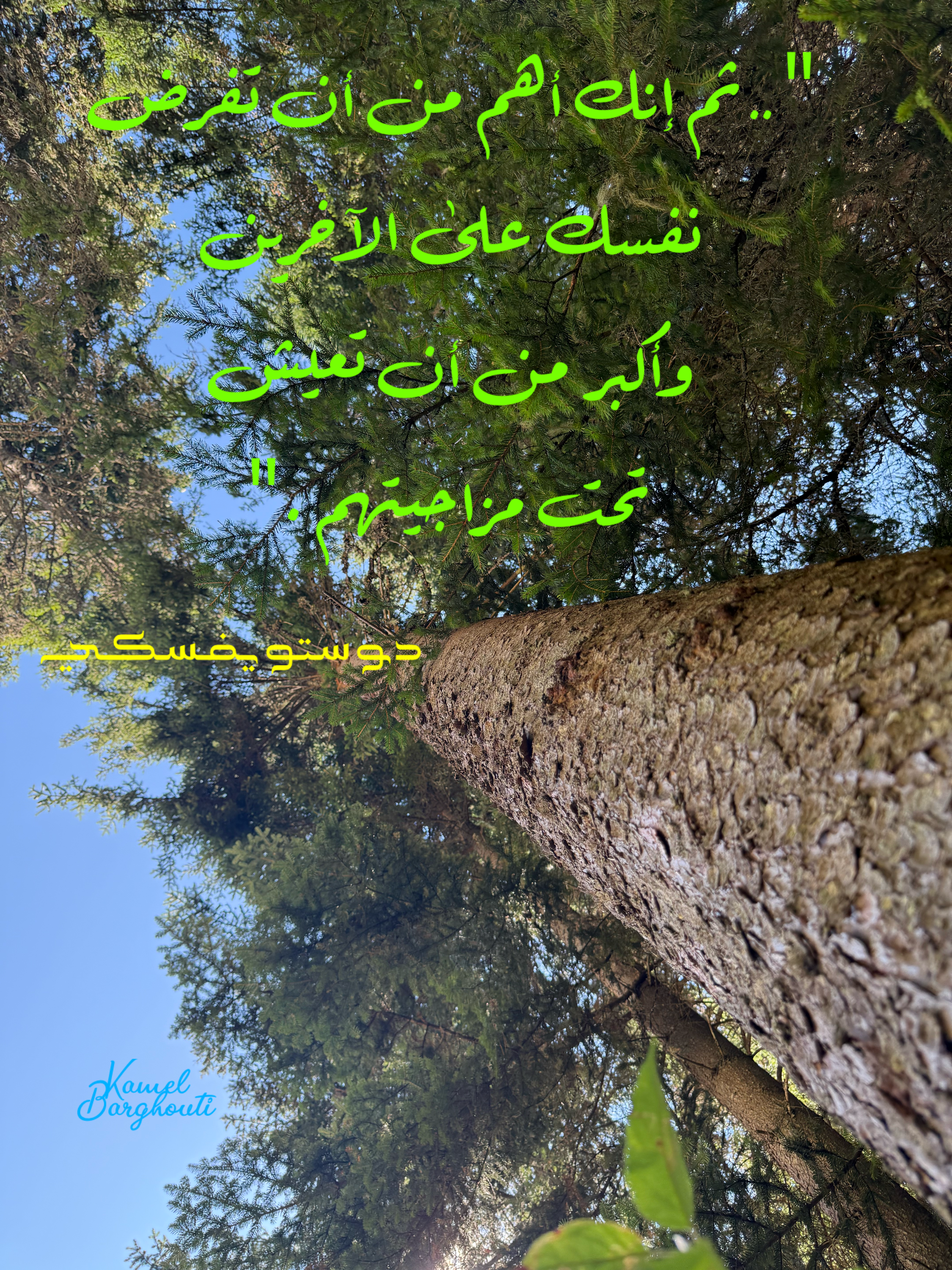 العزيمة والإصرار والثقة بالنفس – اقتباس 1