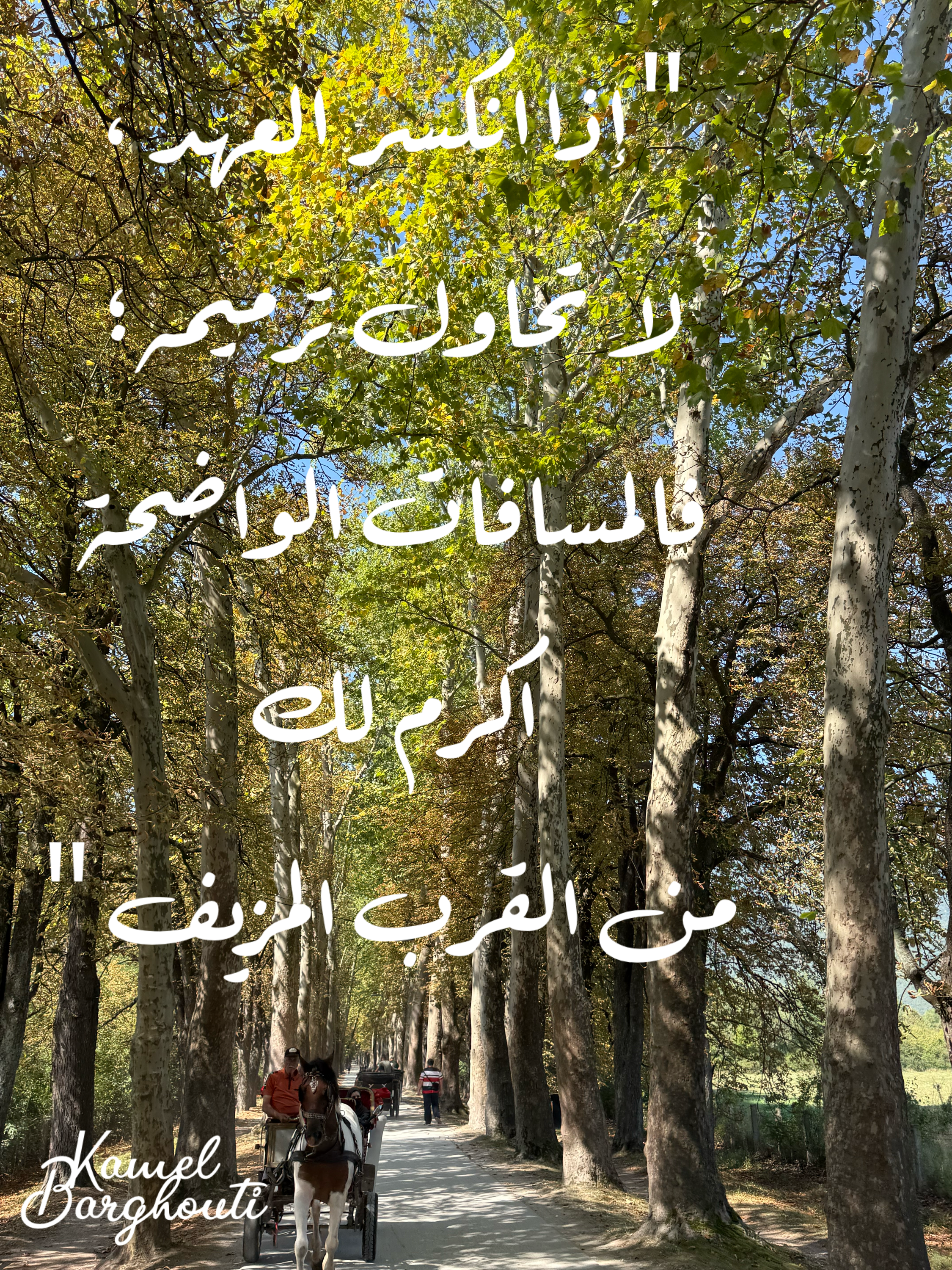 حكمة – اقتباس 12