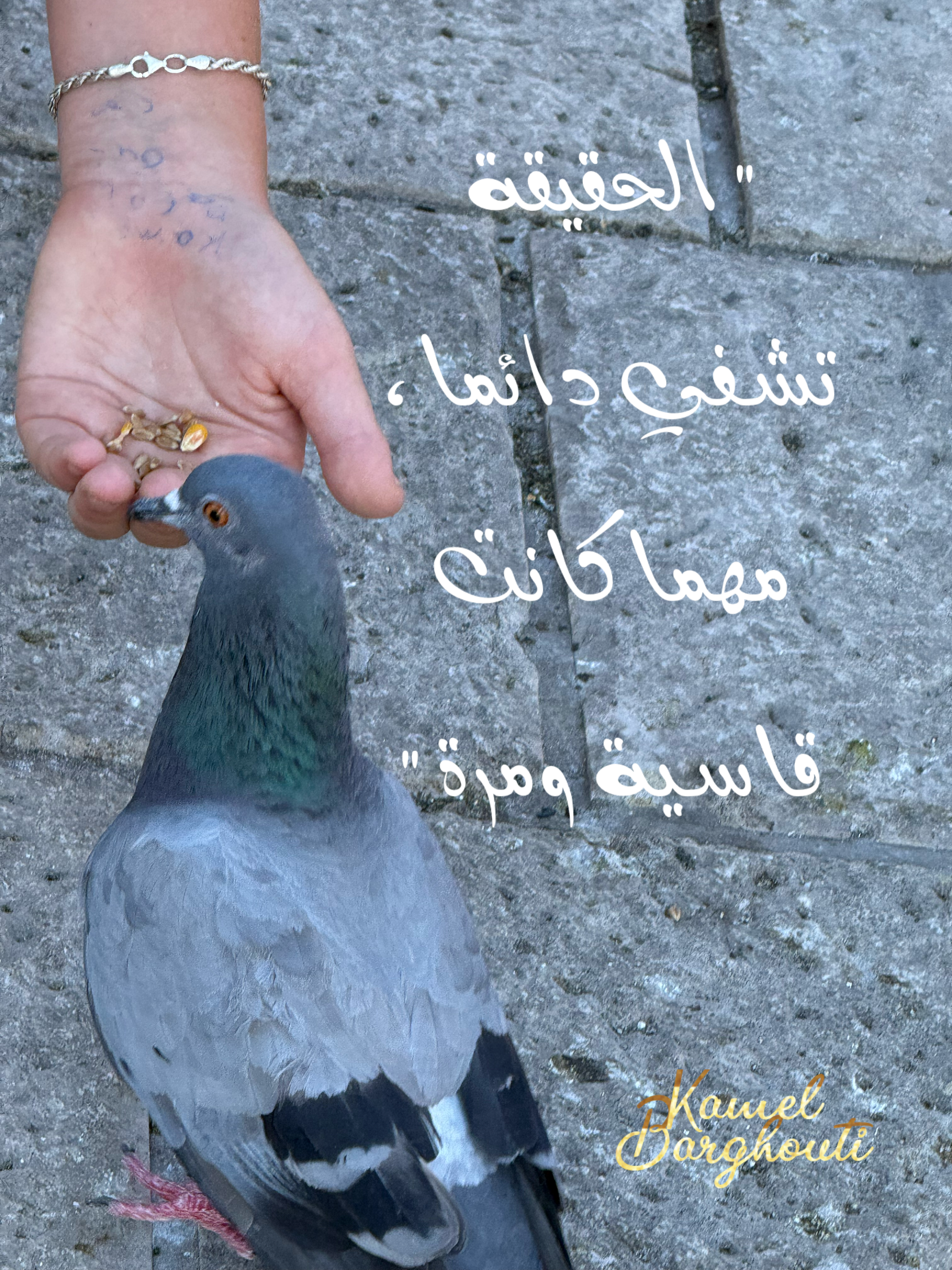 كلام جميل – اقتباس 15