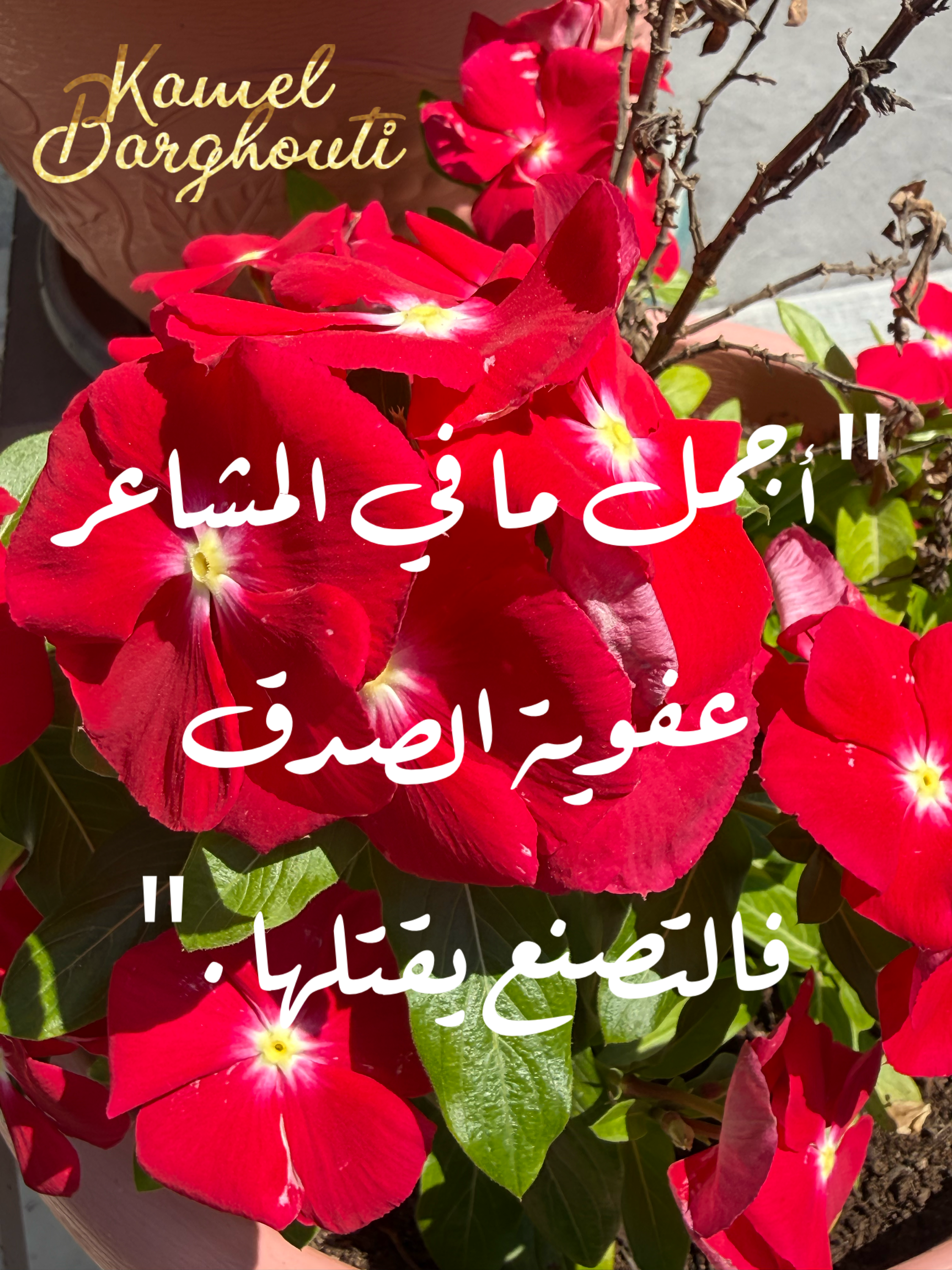 كلام جميل – اقتباس 17