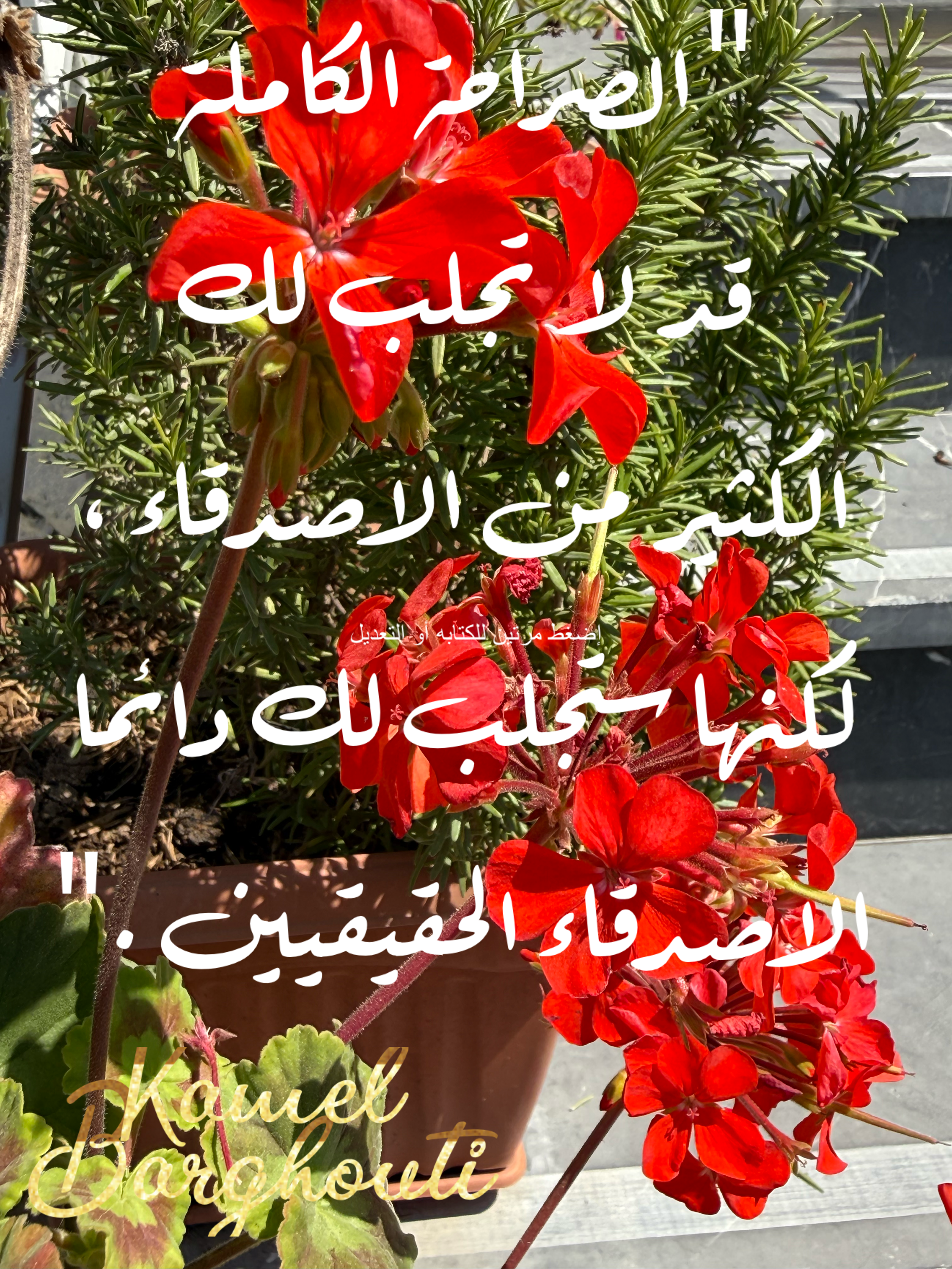 كلام جميل – اقتباس 18