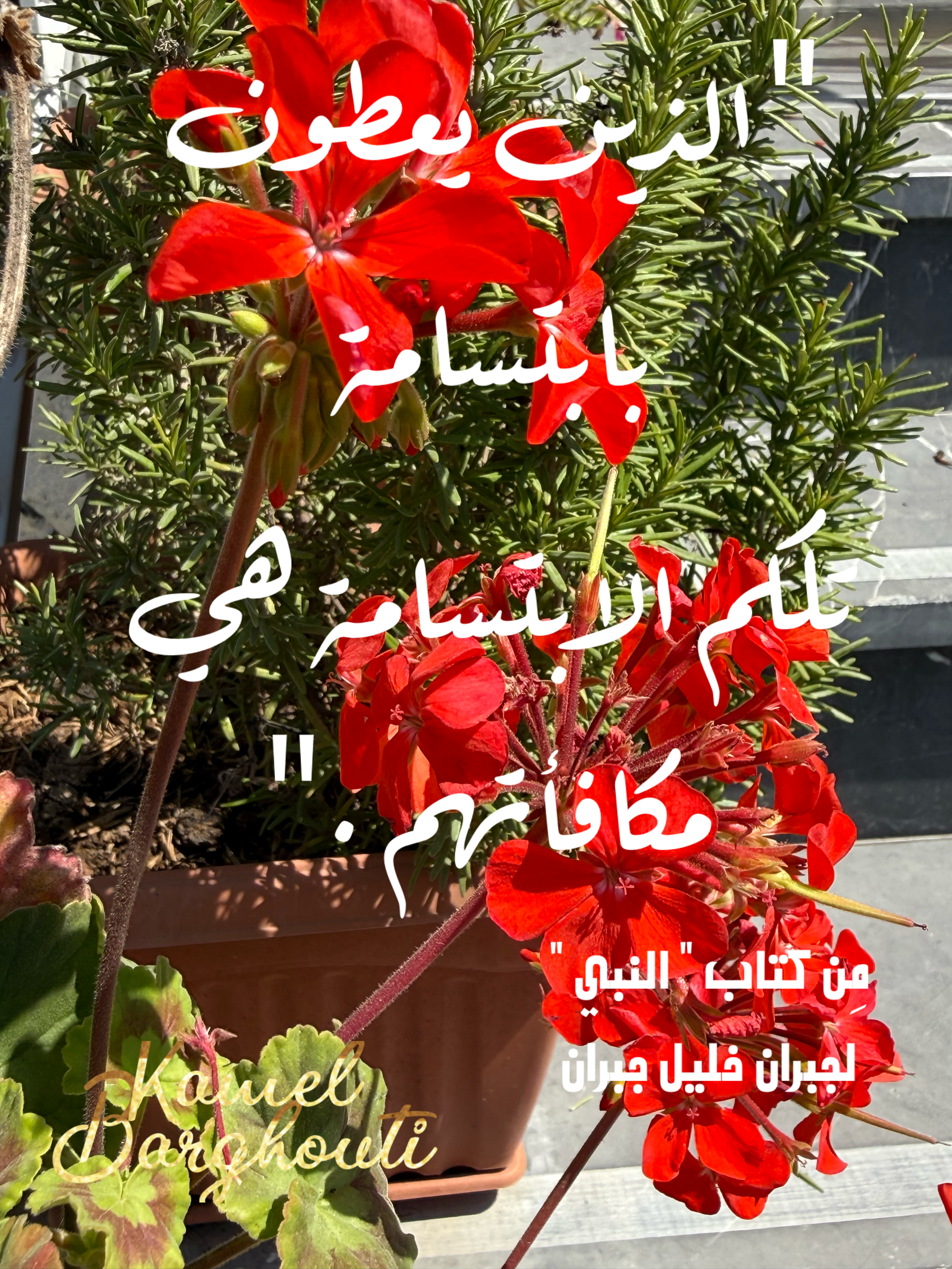 الكرم والعطاء – اقتباس 1
