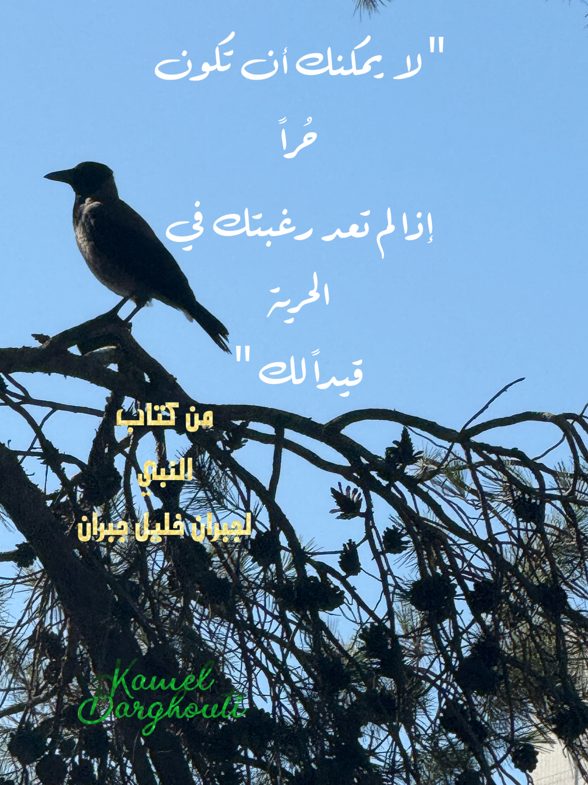 حكمة – اقتباس 13