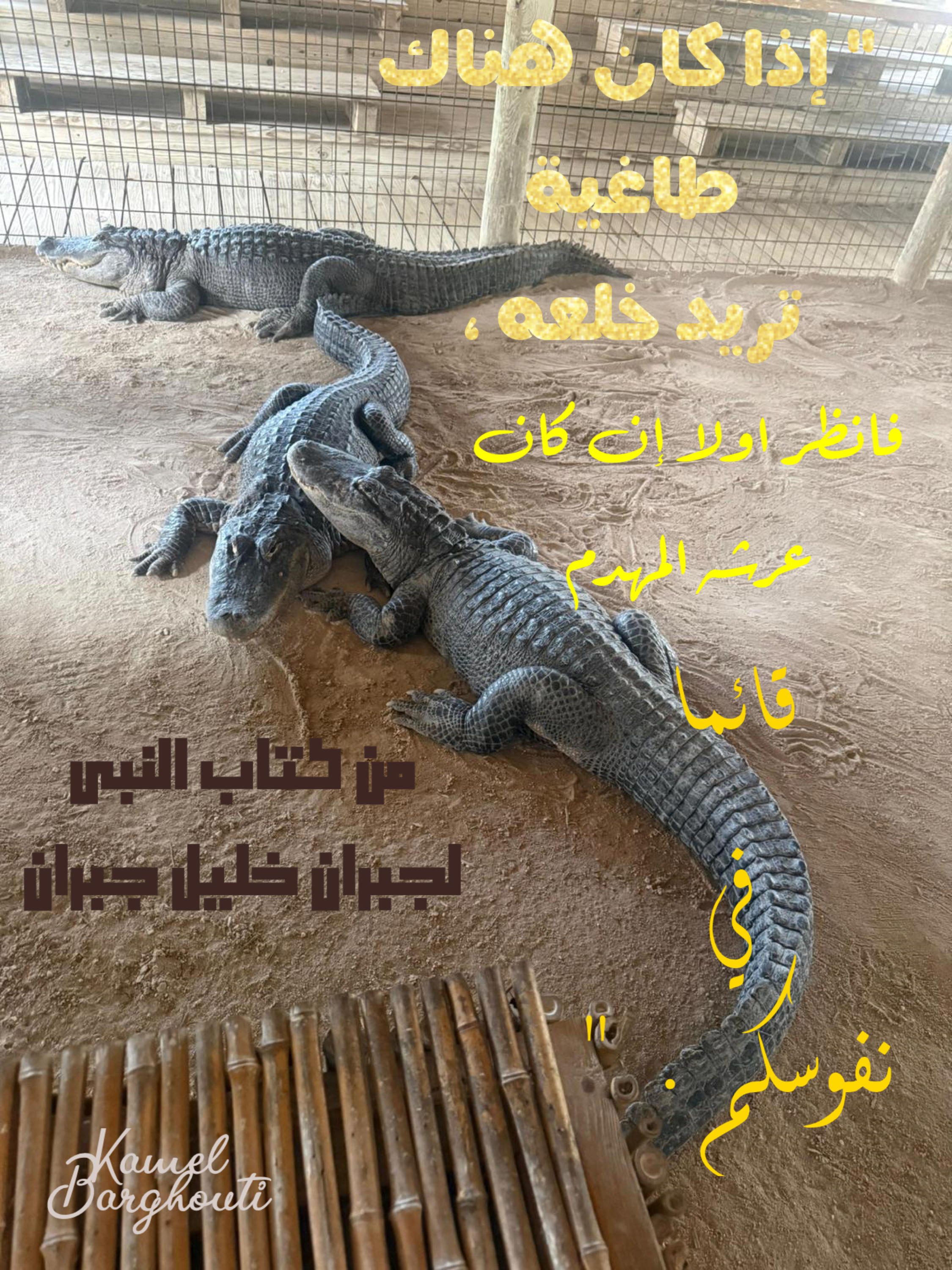 حكمة – اقتباس 14