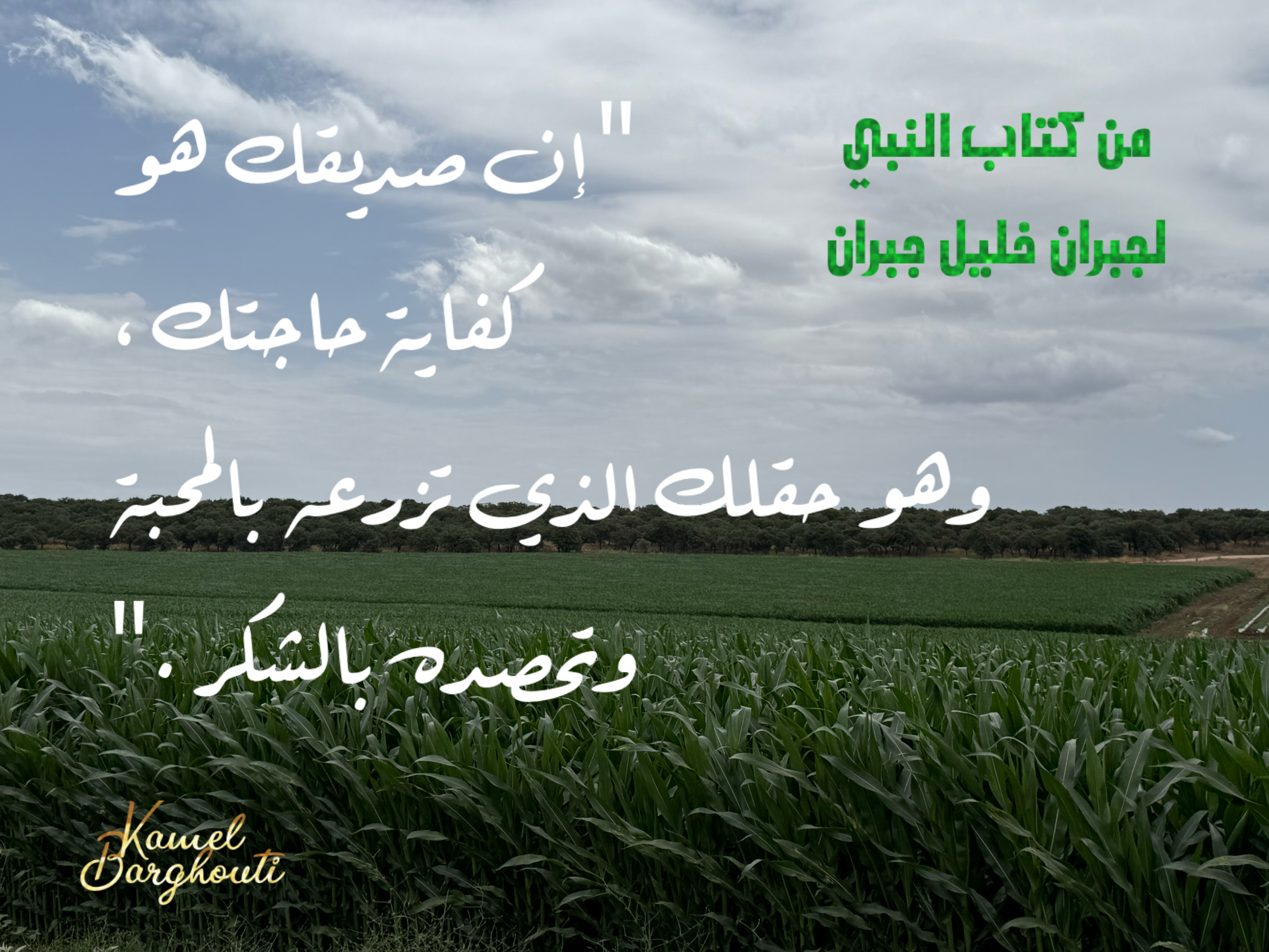 صداقة – اقتباس 1