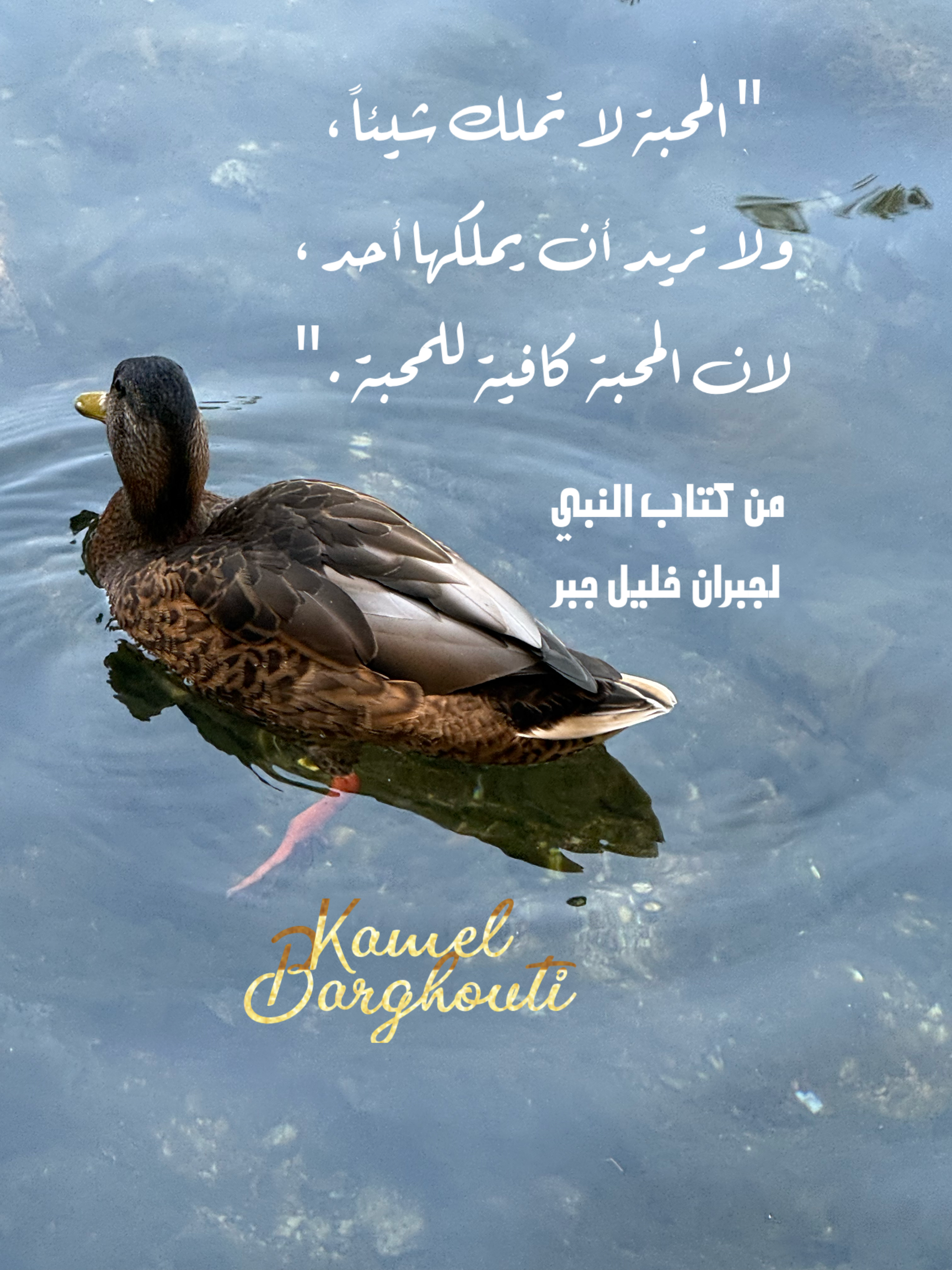 حب وحنين – اقتباس 3