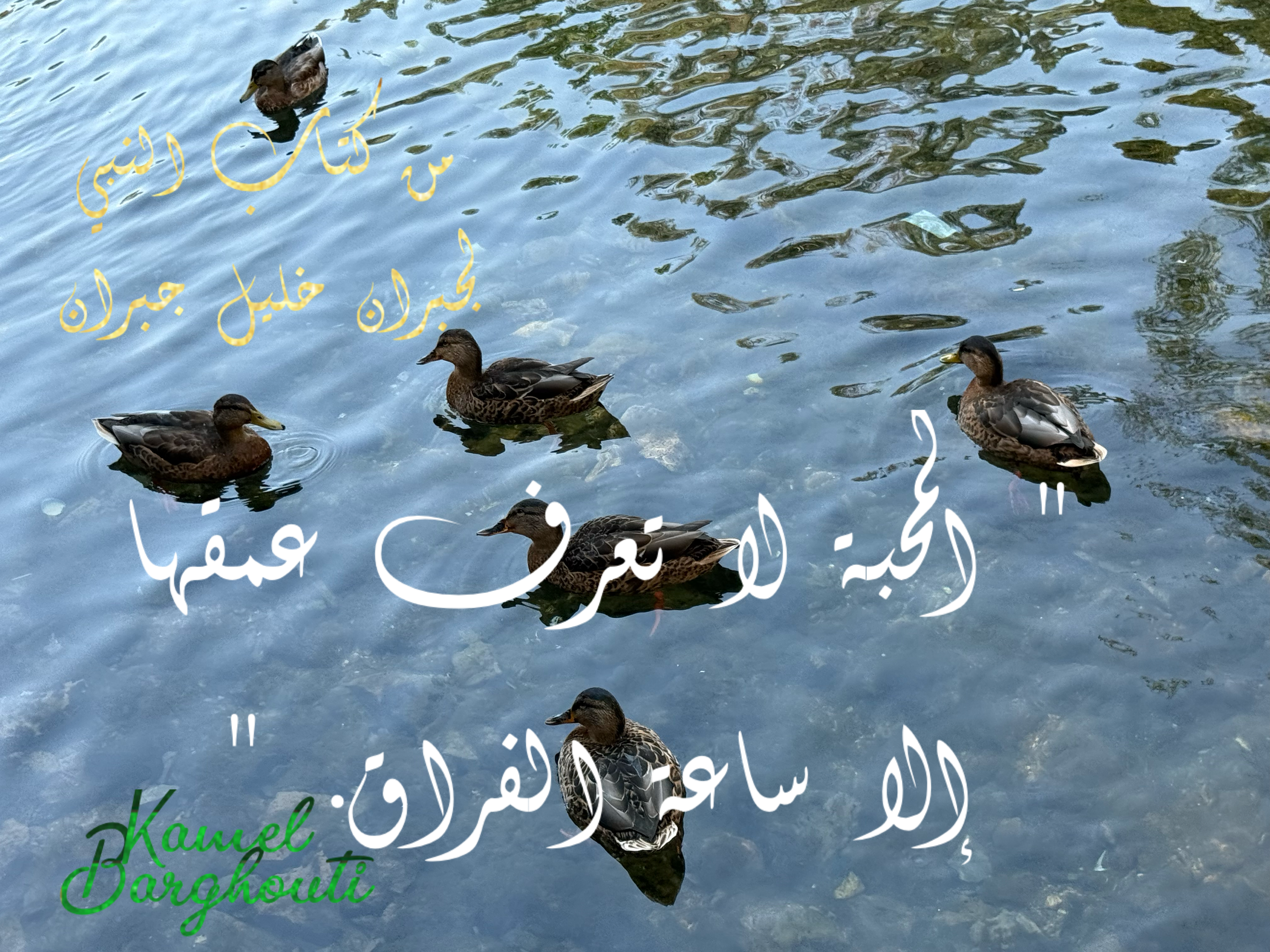 حب وحنين – اقتباس 4