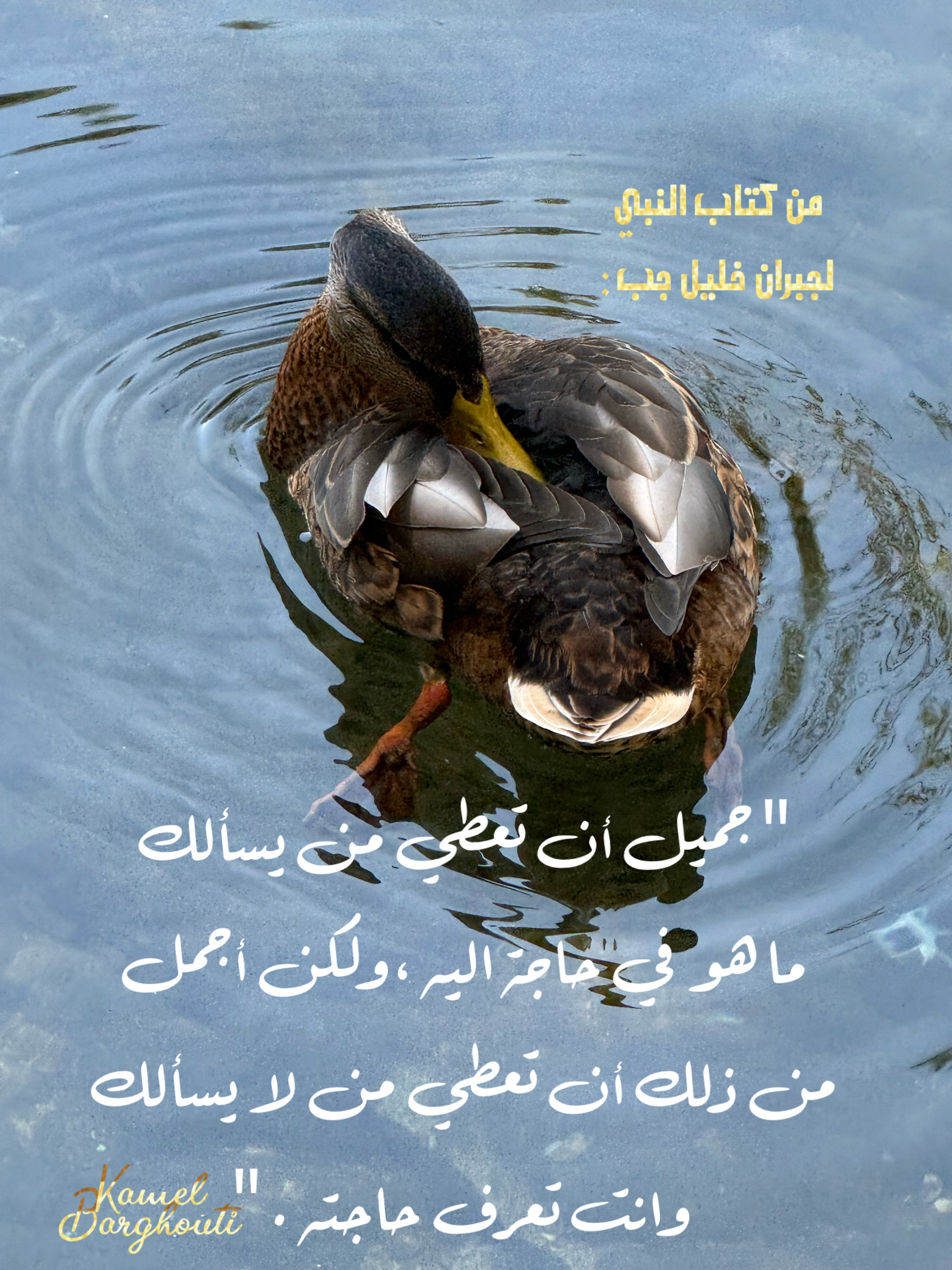 الكرم والعطاء – اقتباس 3