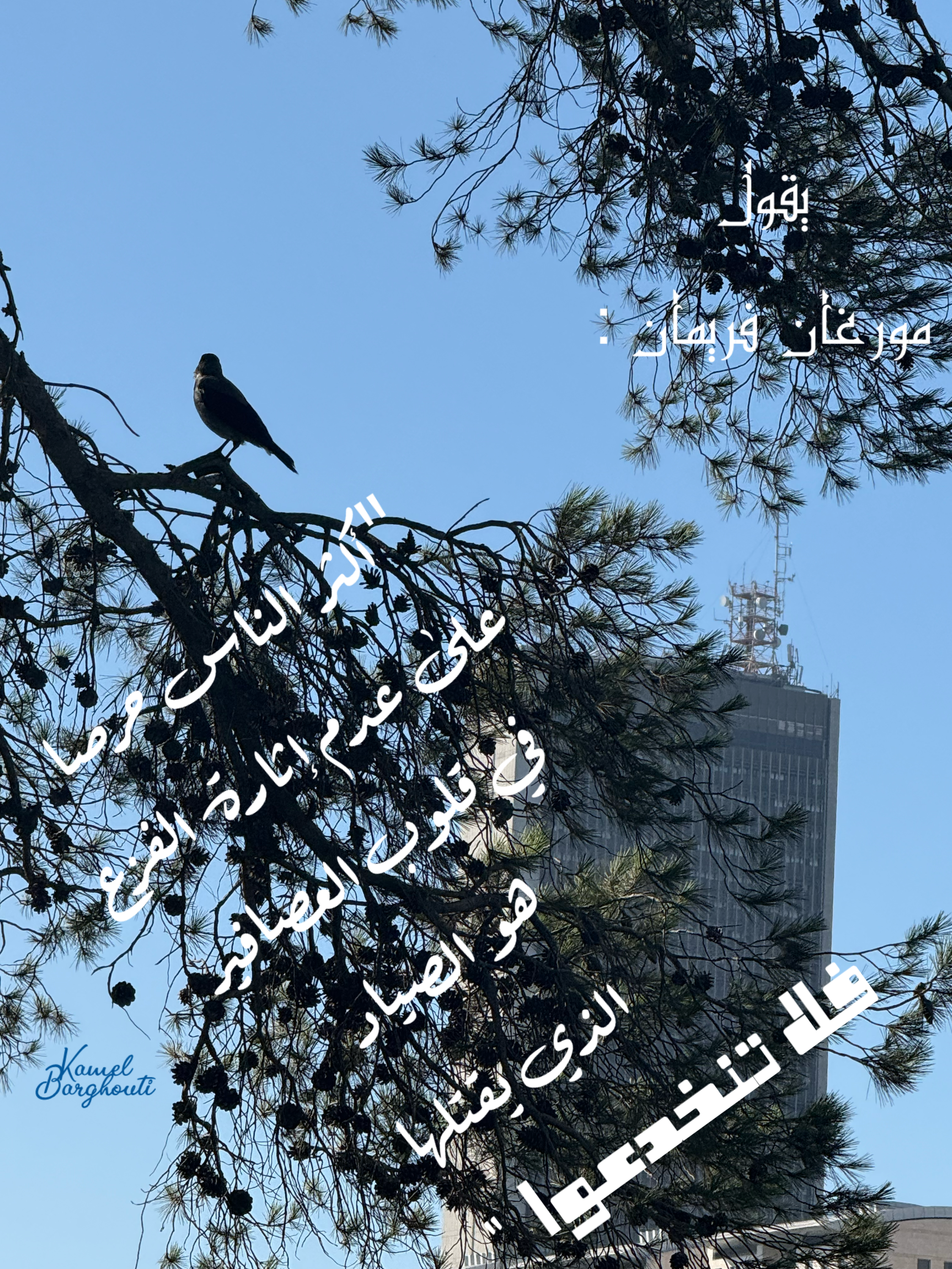 الكرم والعطاء – اقتباس 4